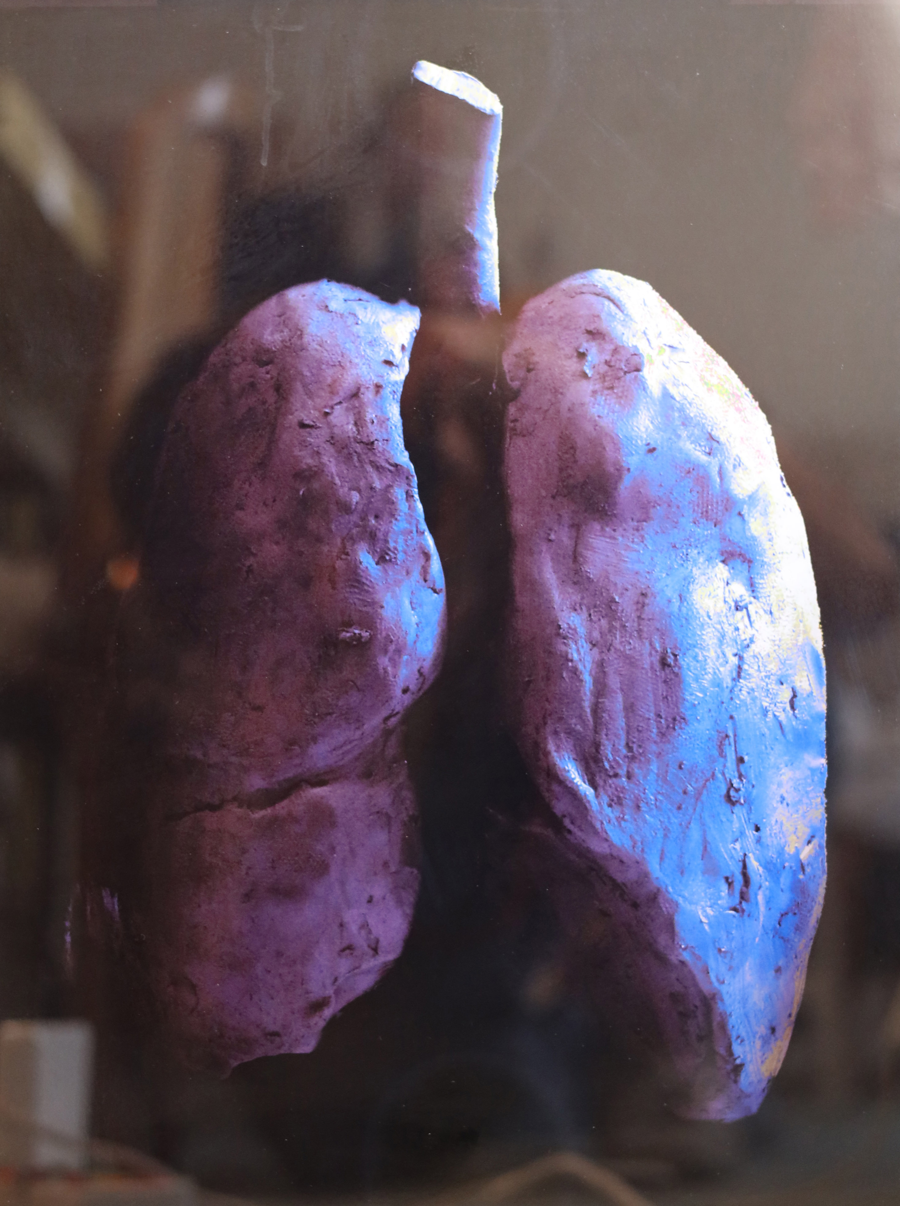 Création Artistique et imagerie médicale 9