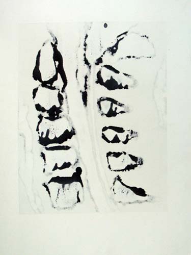 Création Artistique et imagerie médicale 24