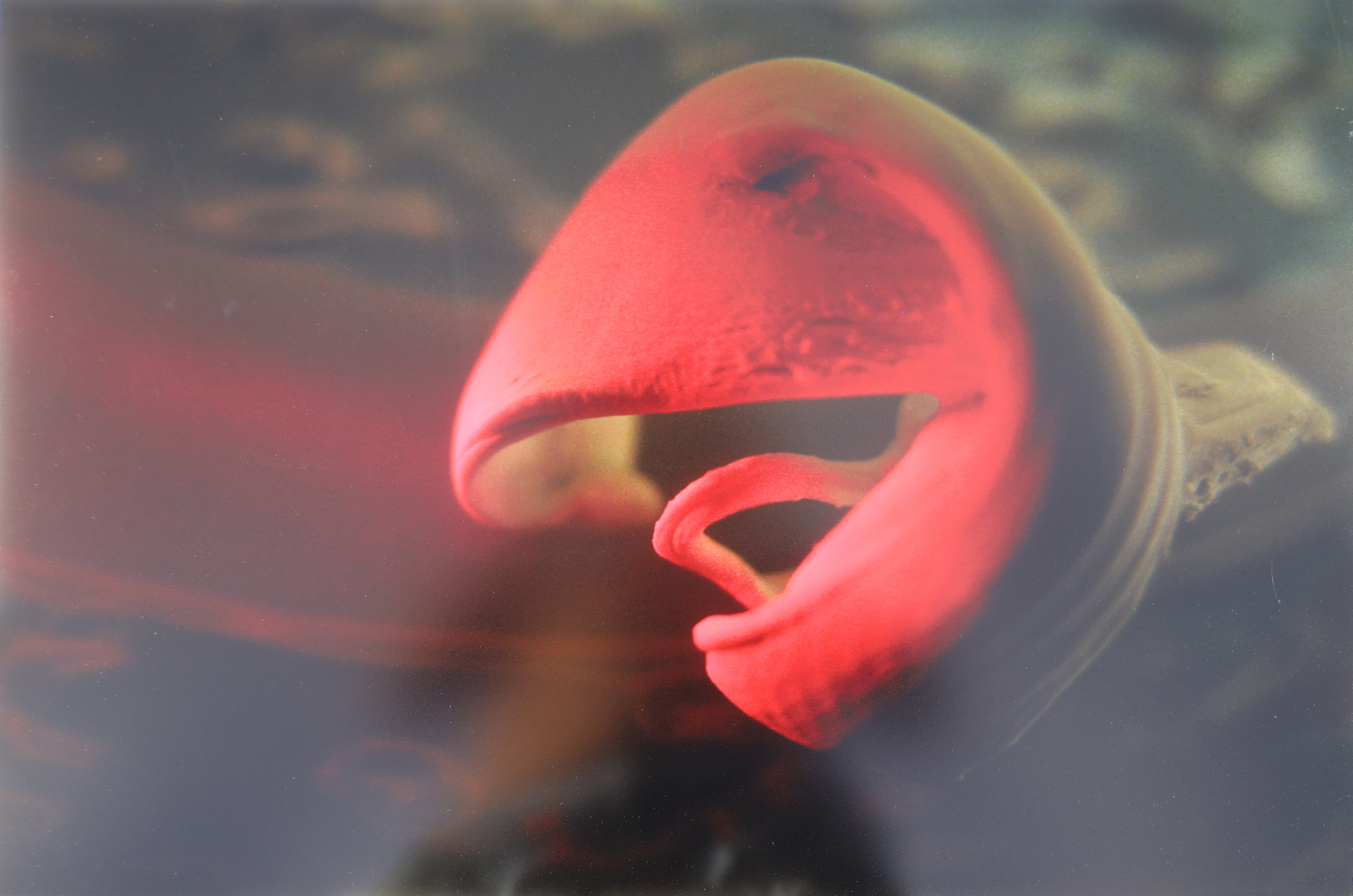 digital3