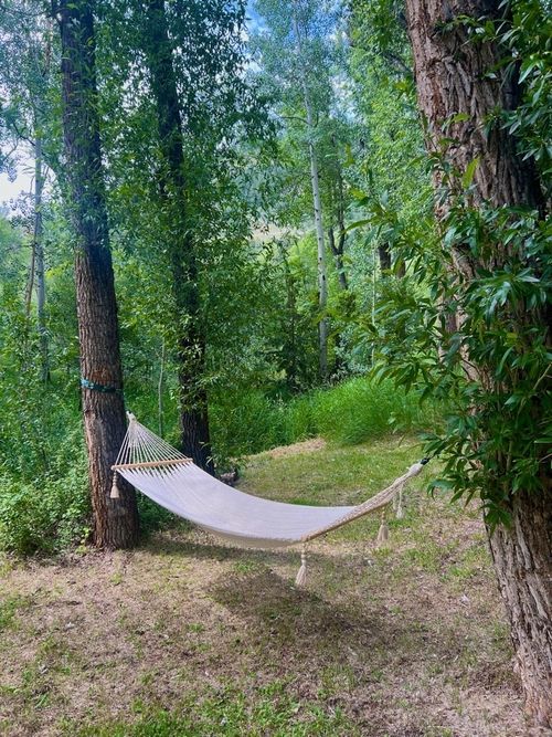 Hammock