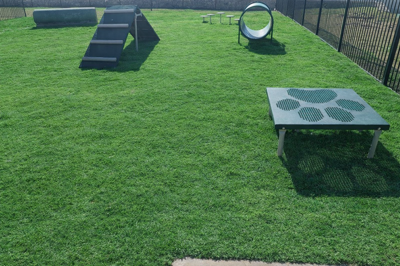 dog park with agility course