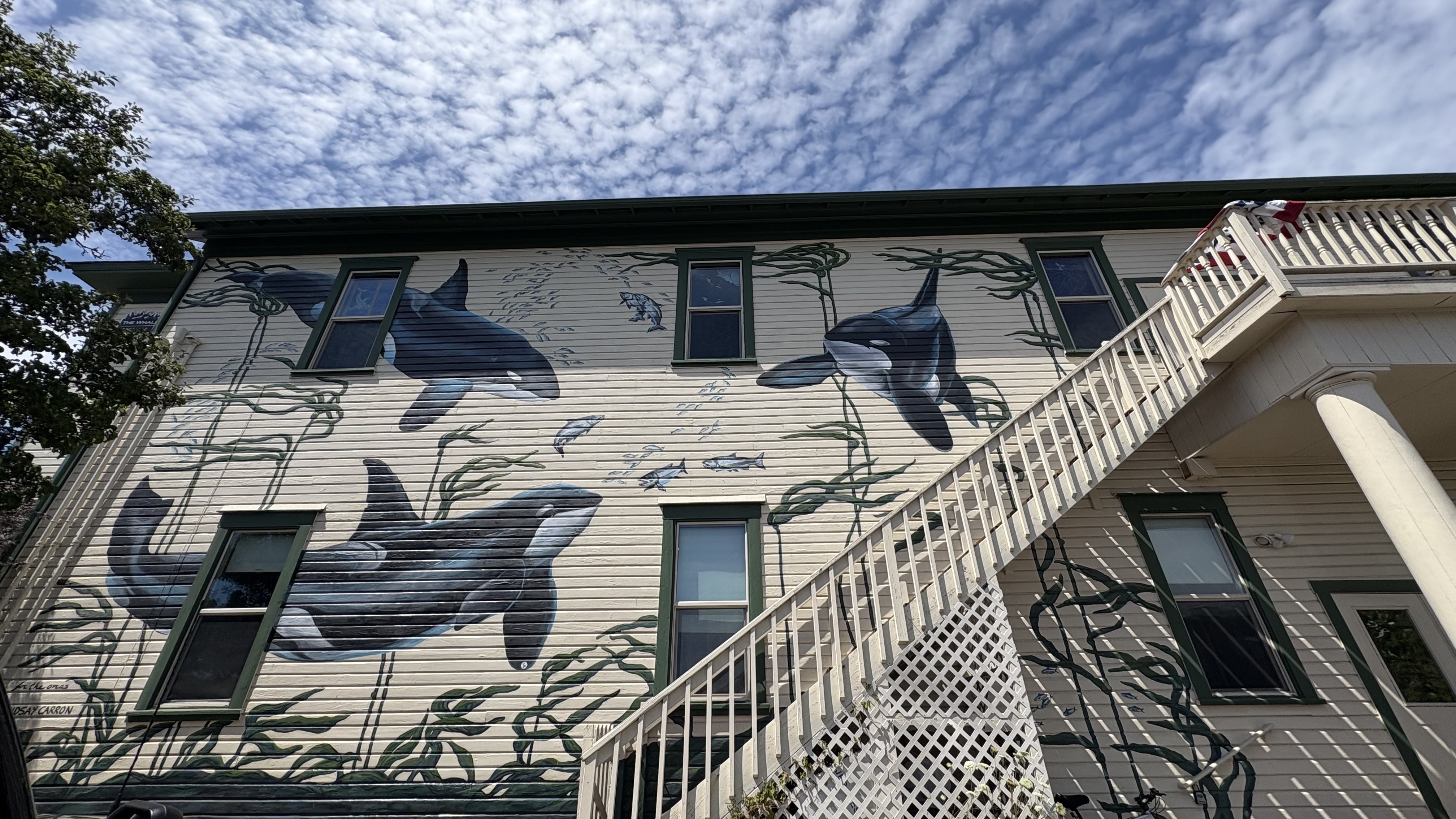 The Seabirds Flock Together