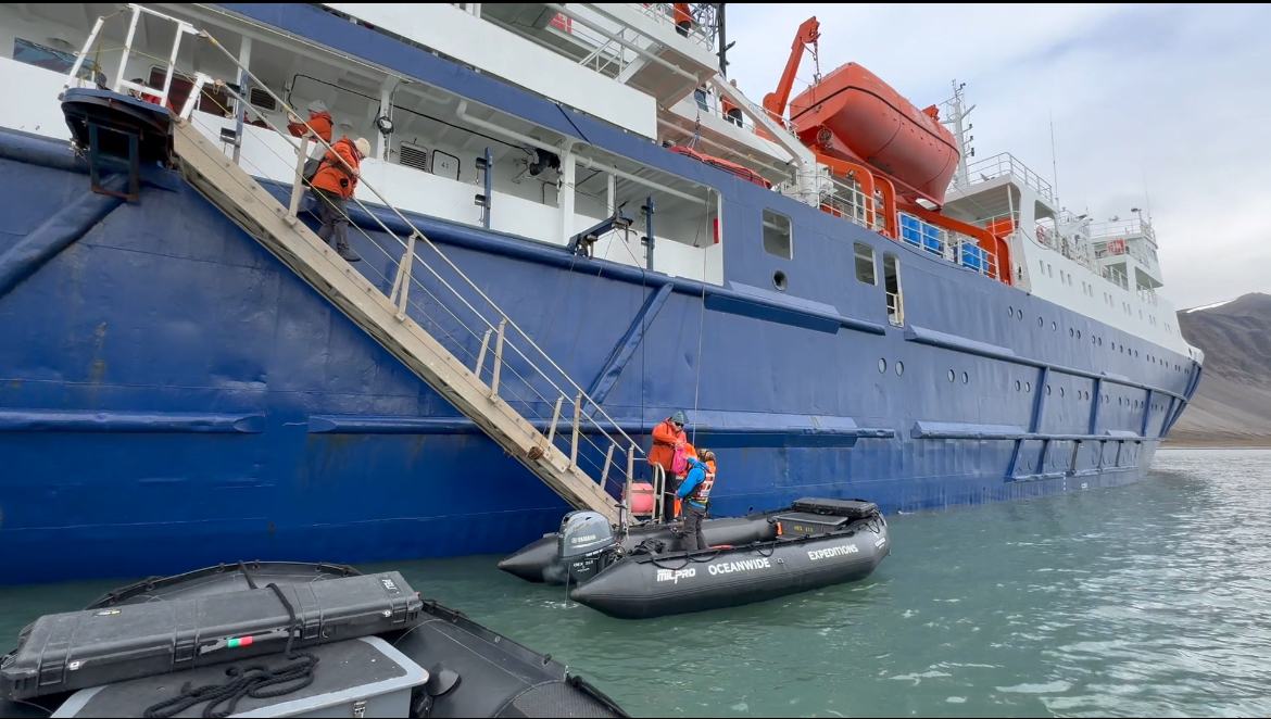 What I Came Here to Do