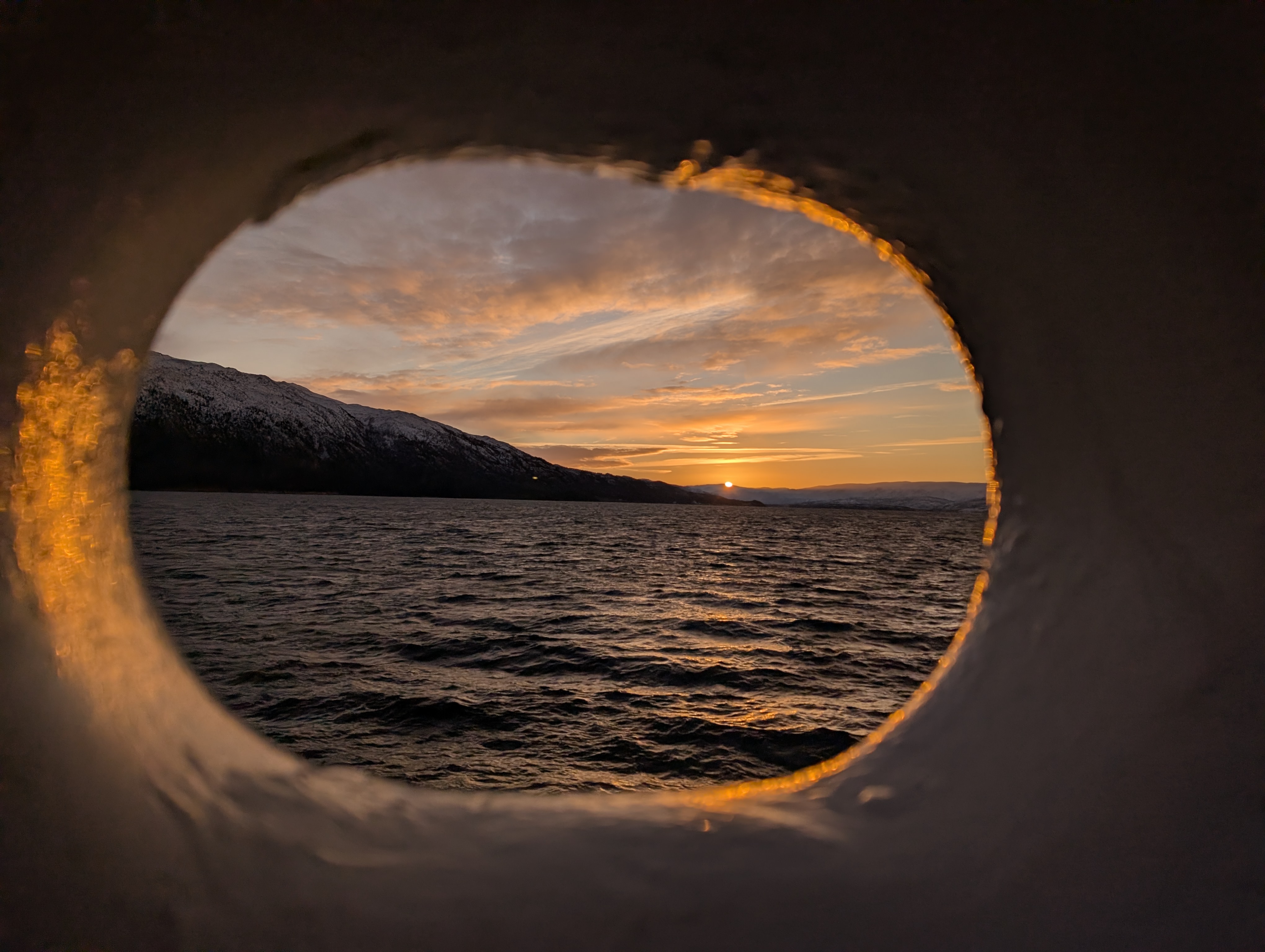 The Best Day Ever: Drysuit Dancing, Epic Baitballs, Polar Plunges, and the Northern Lights