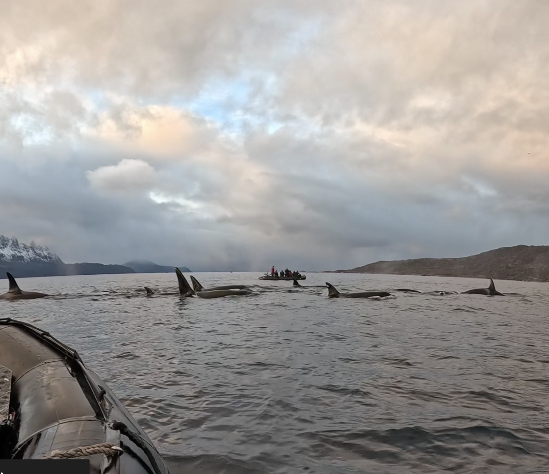 Where the Arctic Taught Me to Breathe Again