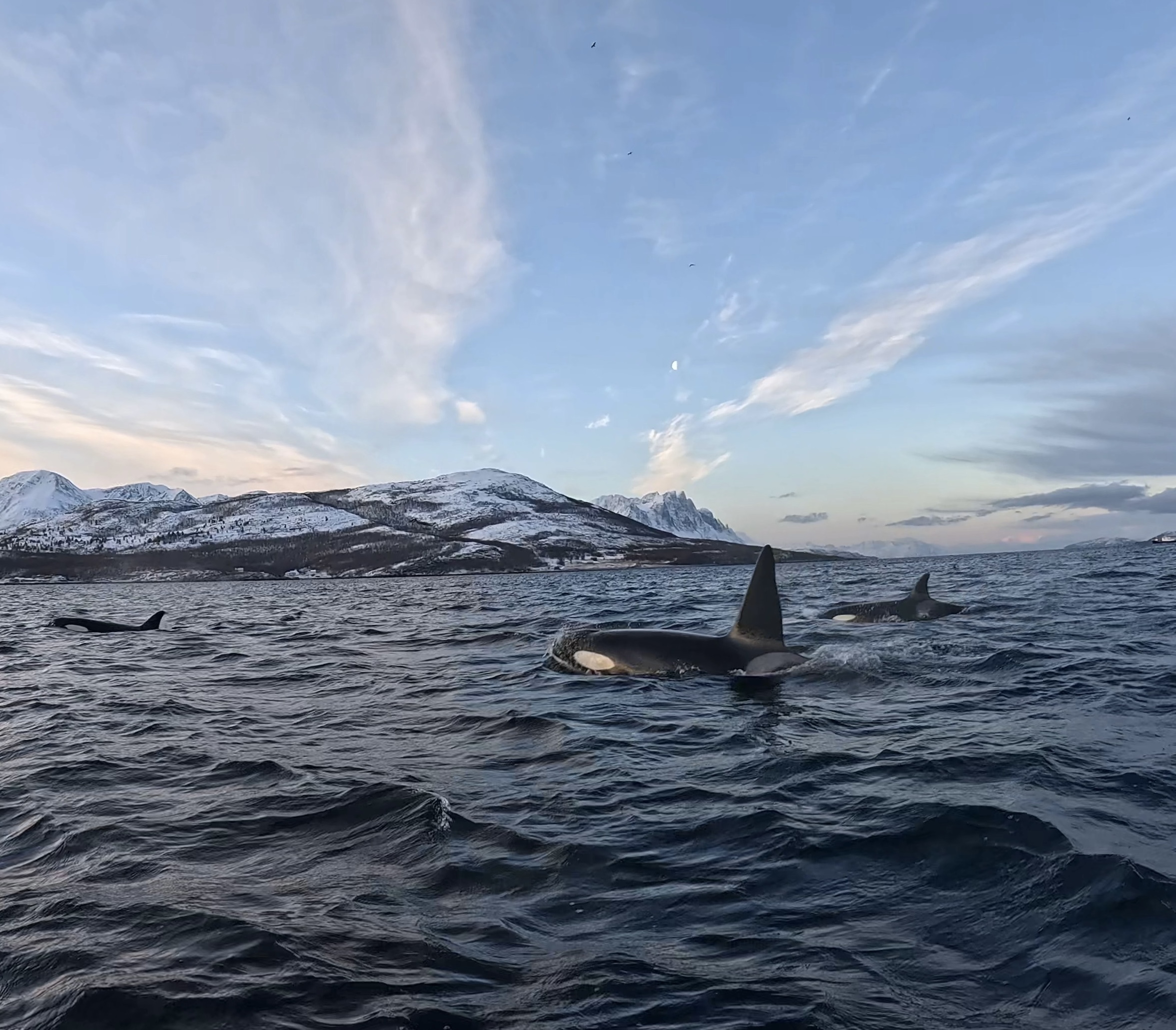 The Trip I Almost Said "No" To