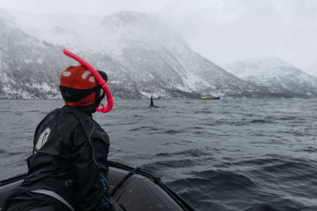 The (Arctic) Cold Truth: Fieldwork Fails