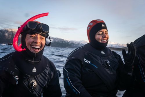 The (Arctic) Cold Truth: Fieldwork Fails