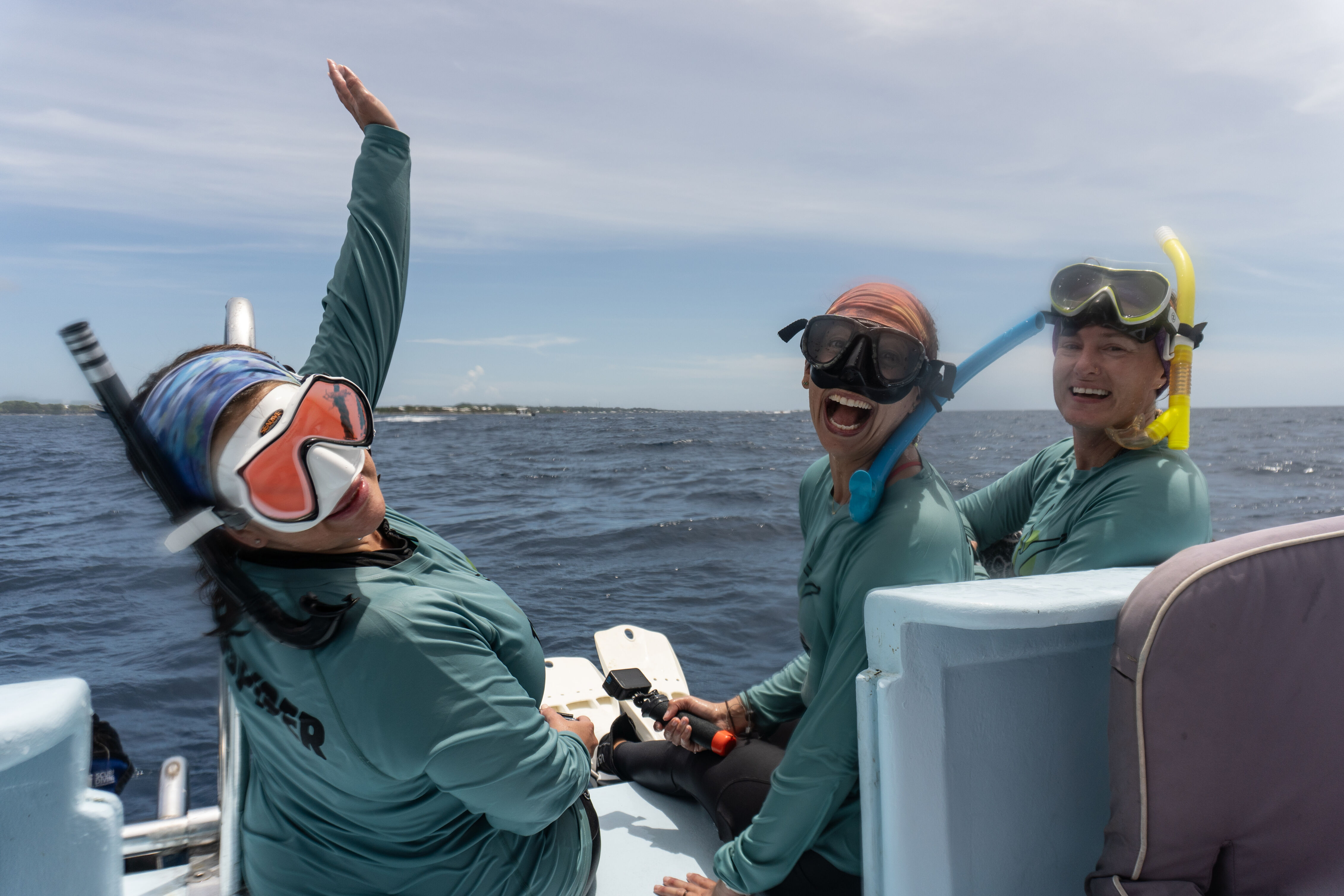An Unexpected Morning with Dolphins