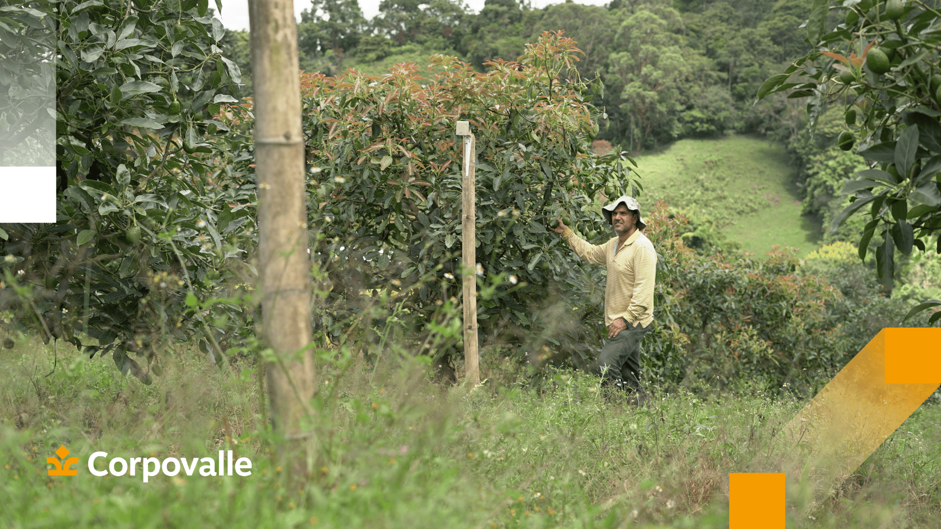 Cultivar como lo haría la naturaleza