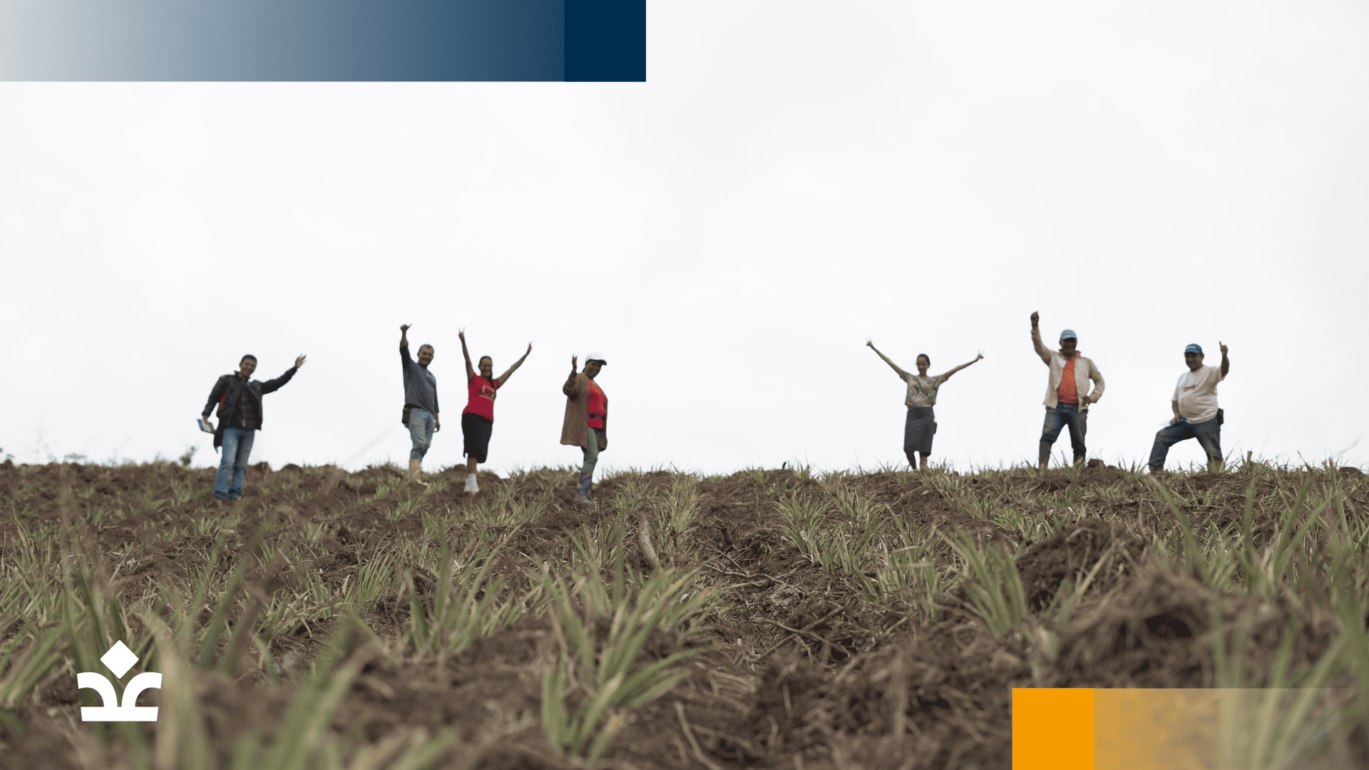 Grupo de beneficiarios de proyectos agrícolas de Corpovalle, celebrando el éxito de sus cultivos en un campo.
