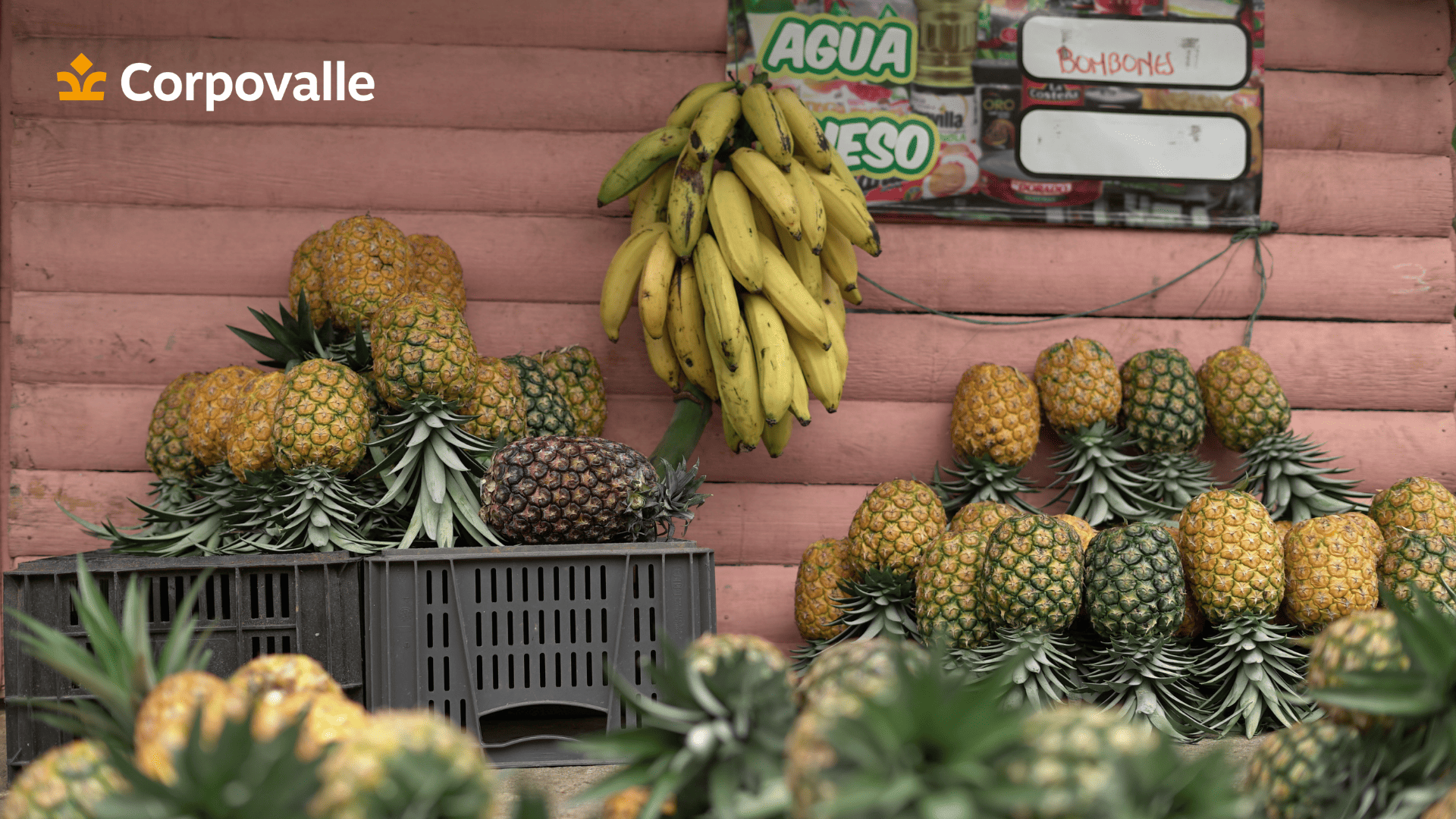 Puesto de venta informal de frutas en el Valle del Cauca, mostrando la abundancia de piñas y plátanos, productos agrícolas de la región.