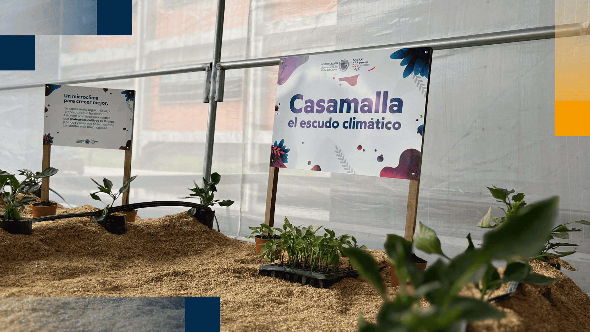 El evento abrió con una experiencia inmersiva