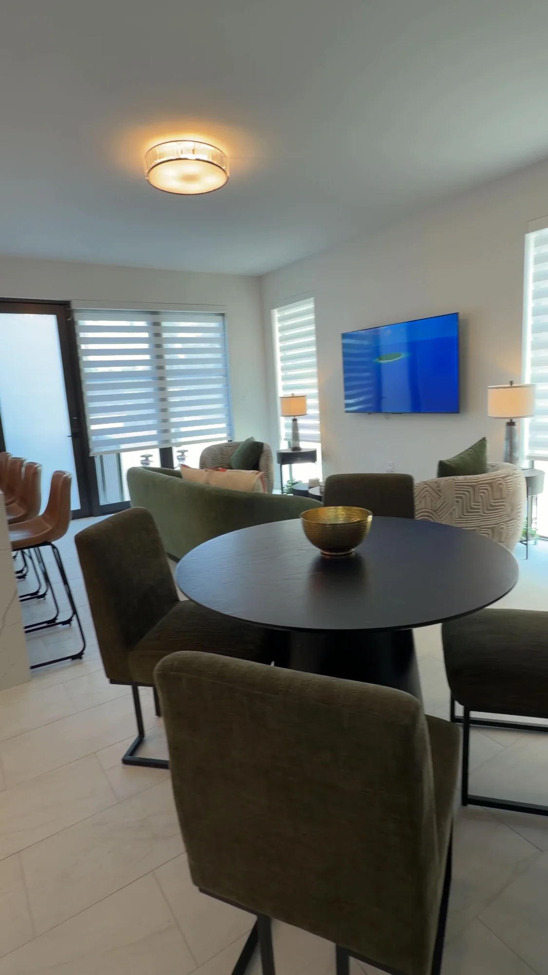 Zebra shades across the furnished living and dining area.