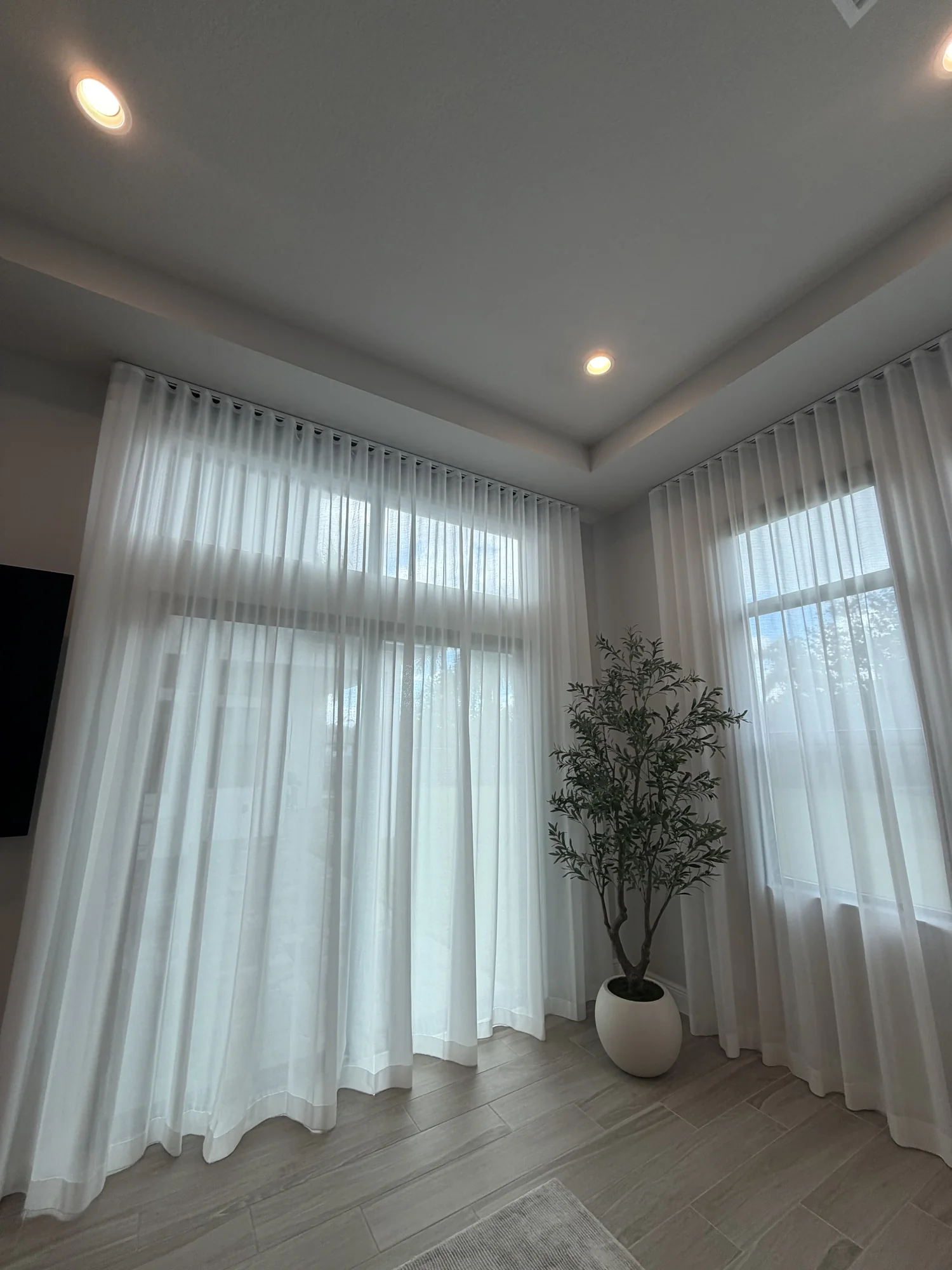 Corner window wall with continuous white sheers and an olive tree.