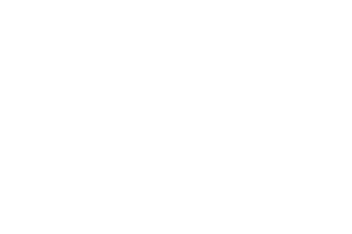 Logo Daniel Beiler Hochzeitsfotograf