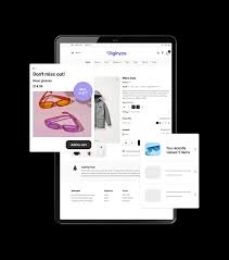 b2b and c2 ecommerce platform.jpg