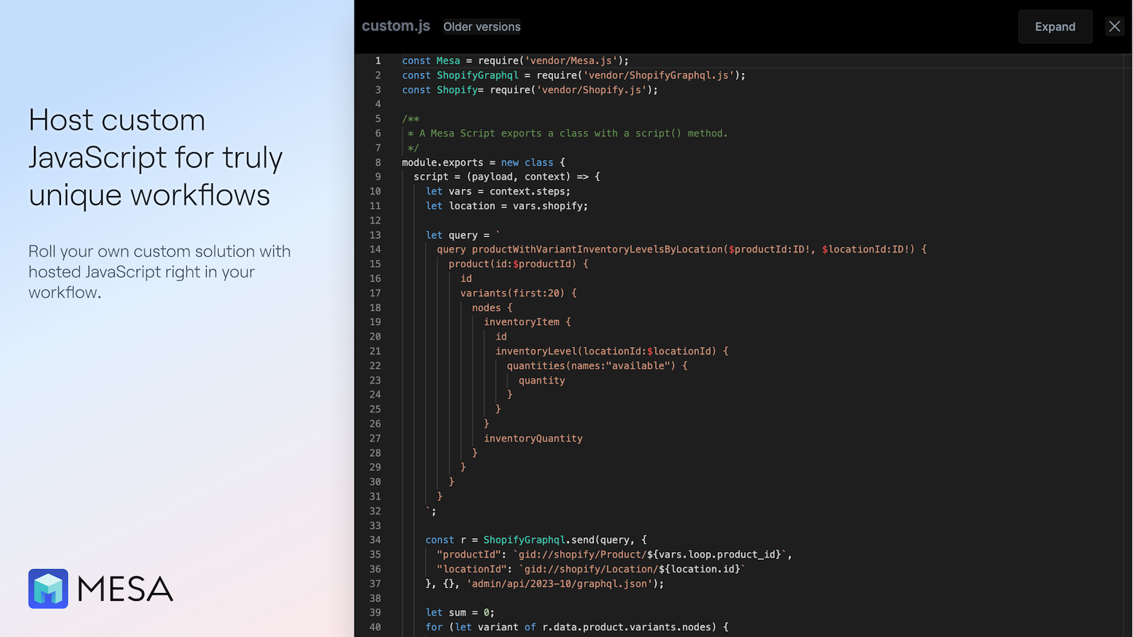 Screentshot #6 - Custom Javascript.png