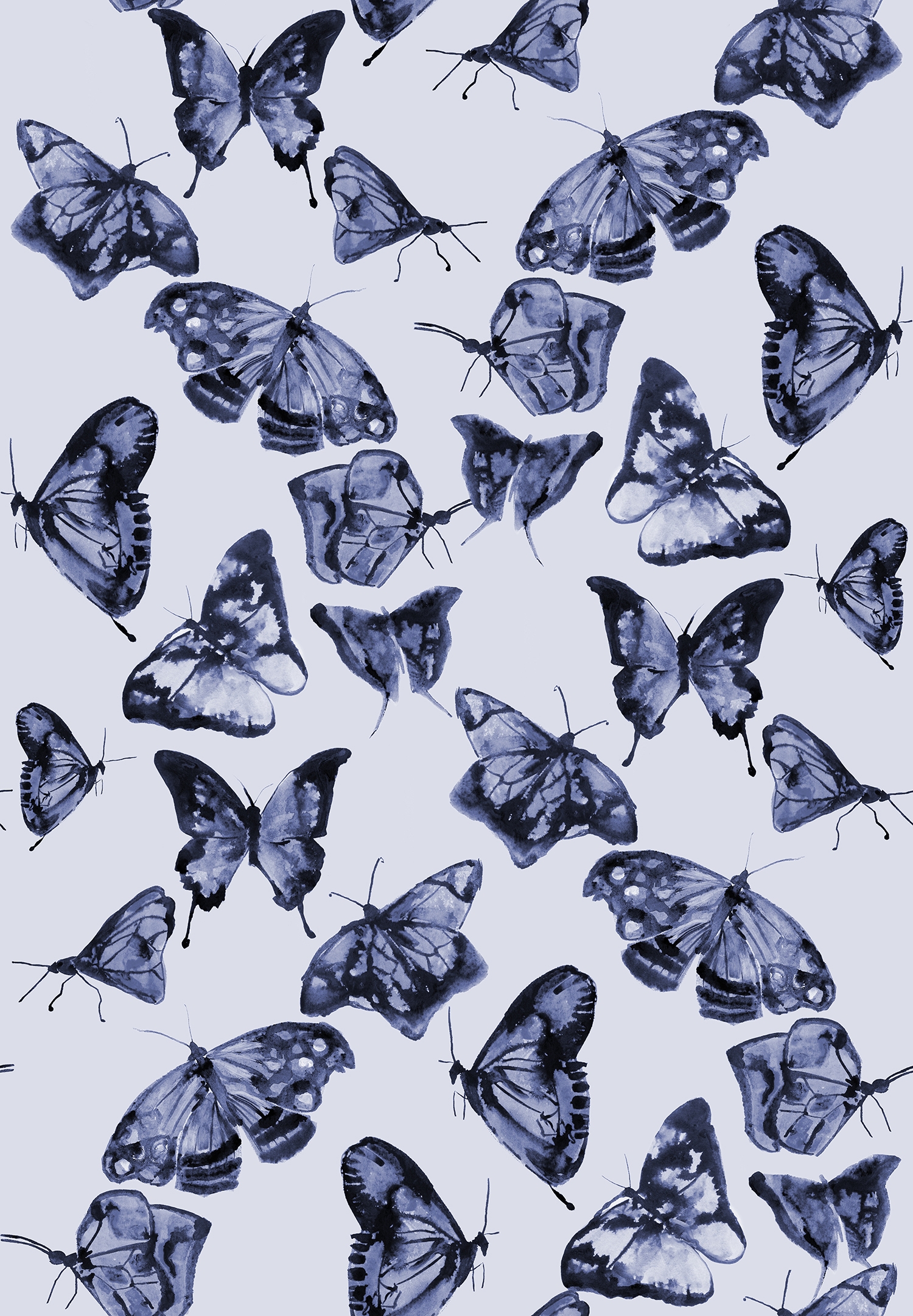 Butterflies Rhapsody in Blue