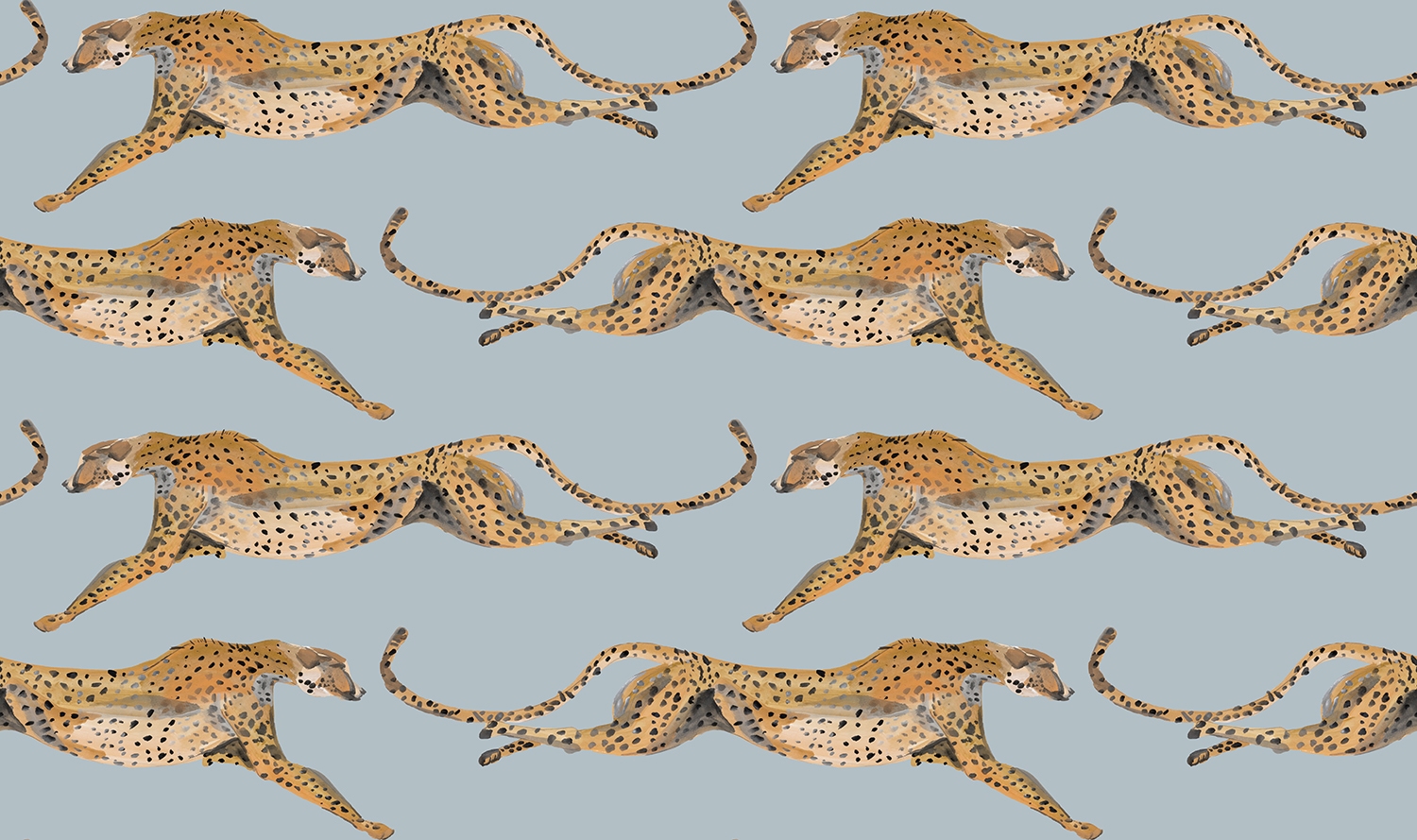 Cheetahs Leaping Parma Gray