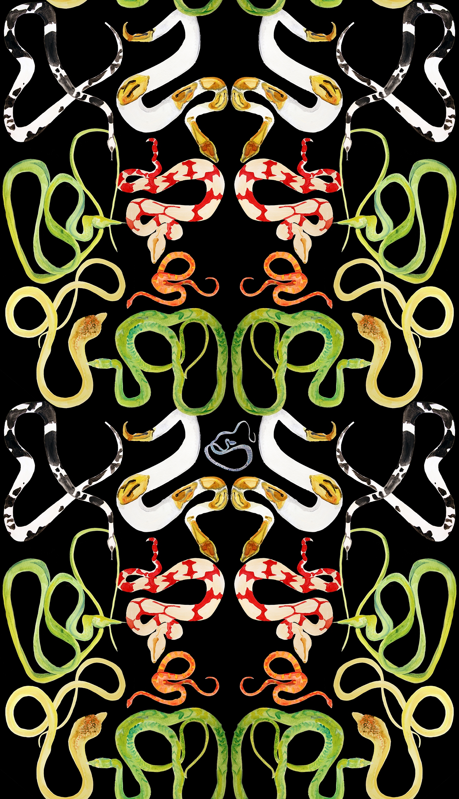 Snakes