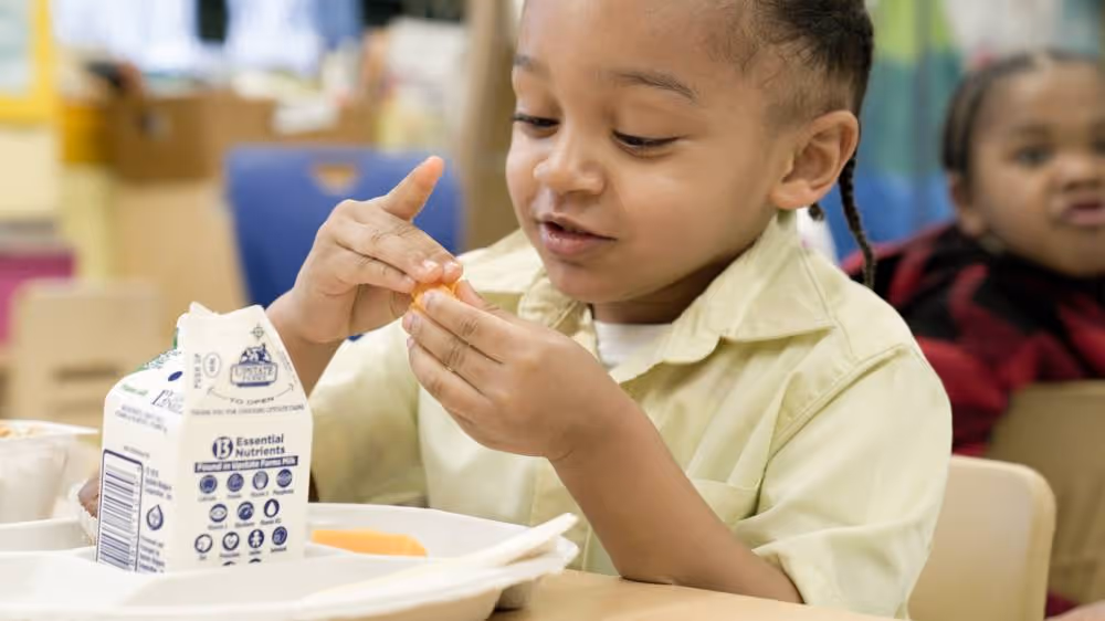 Young child enjoying snack at school lunch table