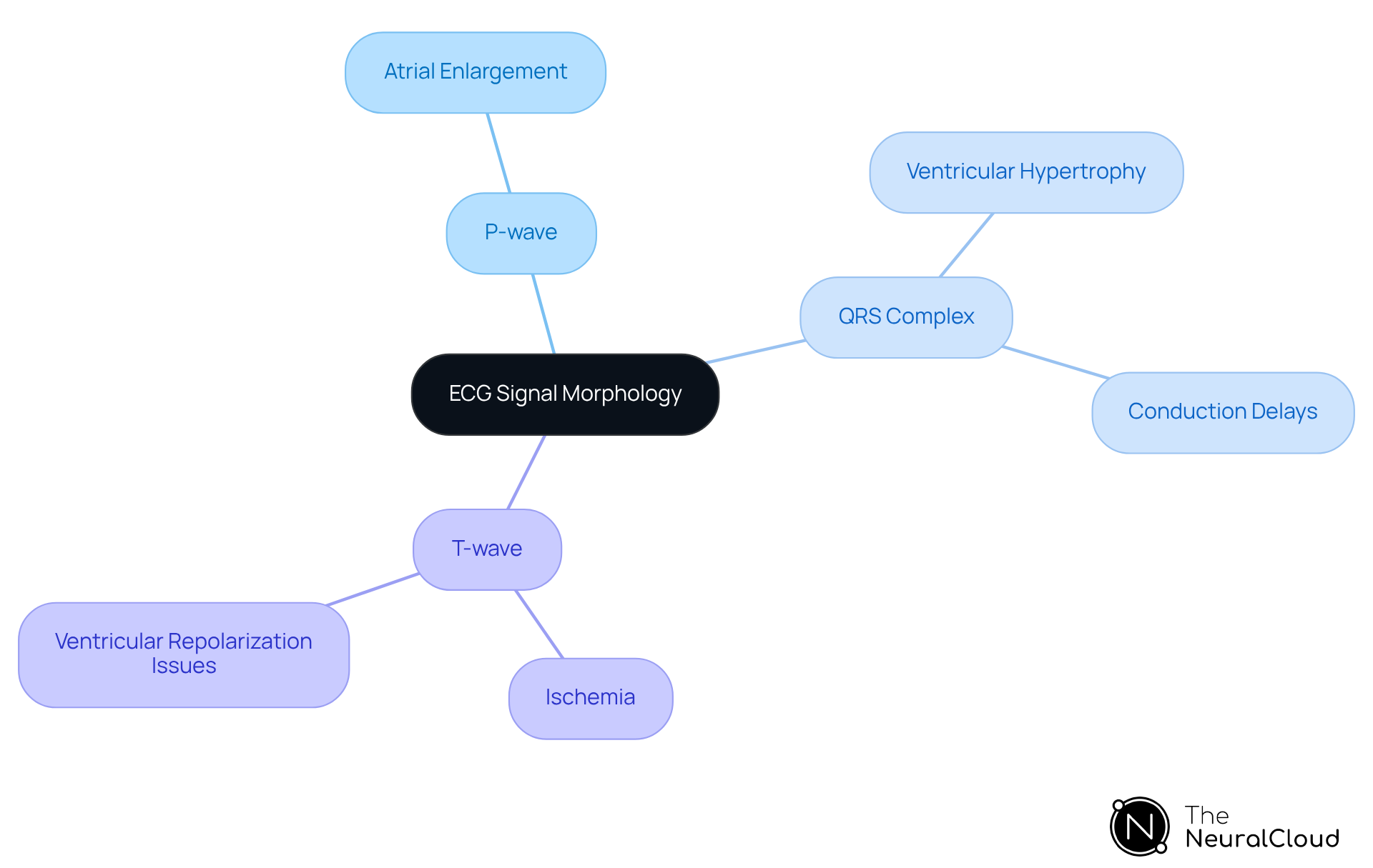 At the center, you have the main topic: ECG Signal Morphology. Each branch represents a key feature of the ECG, and the sub-branches show what each feature can indicate regarding cardiac health.