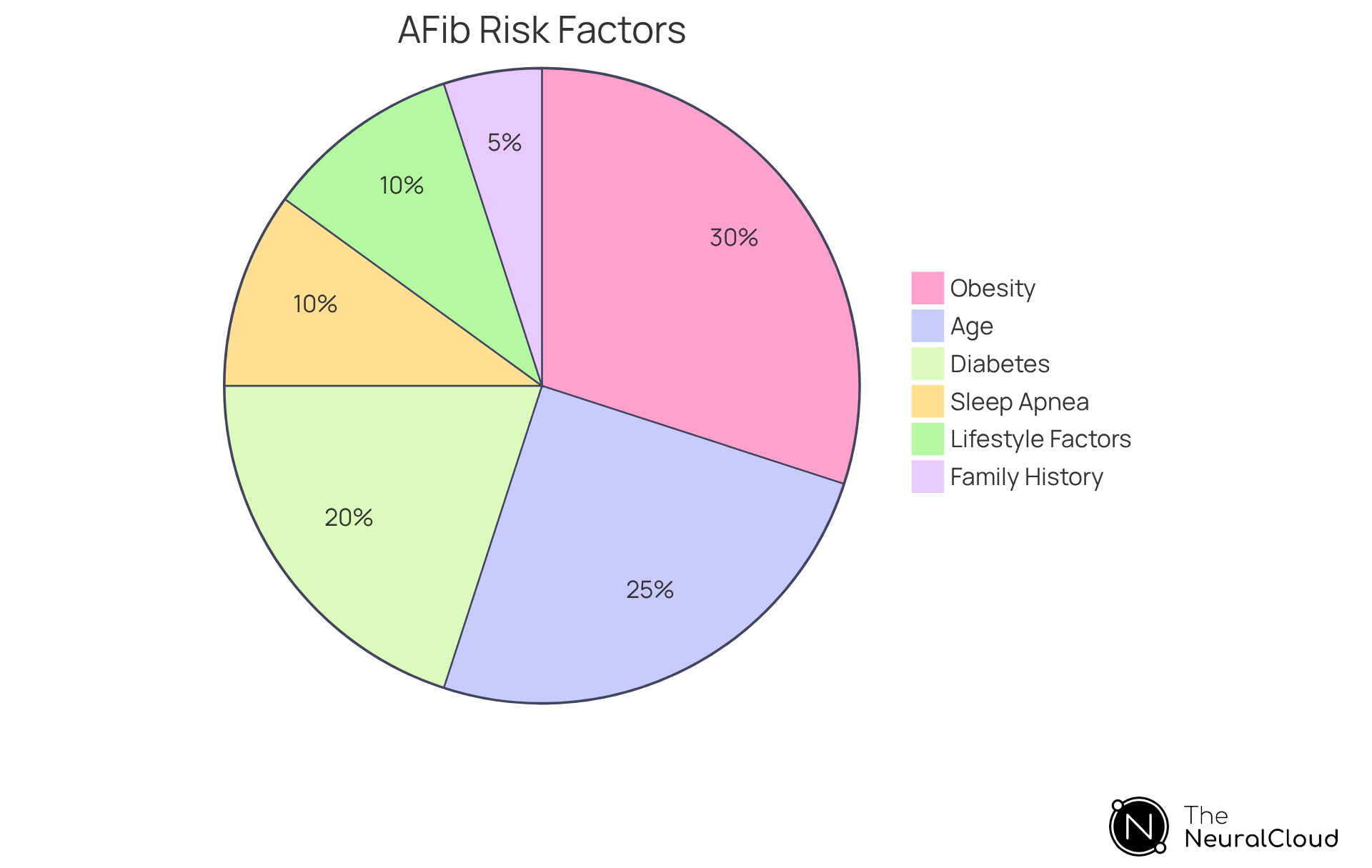 Each slice of the pie indicates a risk factor for developing atrial fibrillation with rapid ventricular response. The size of each slice shows how significant that factor is compared to others.