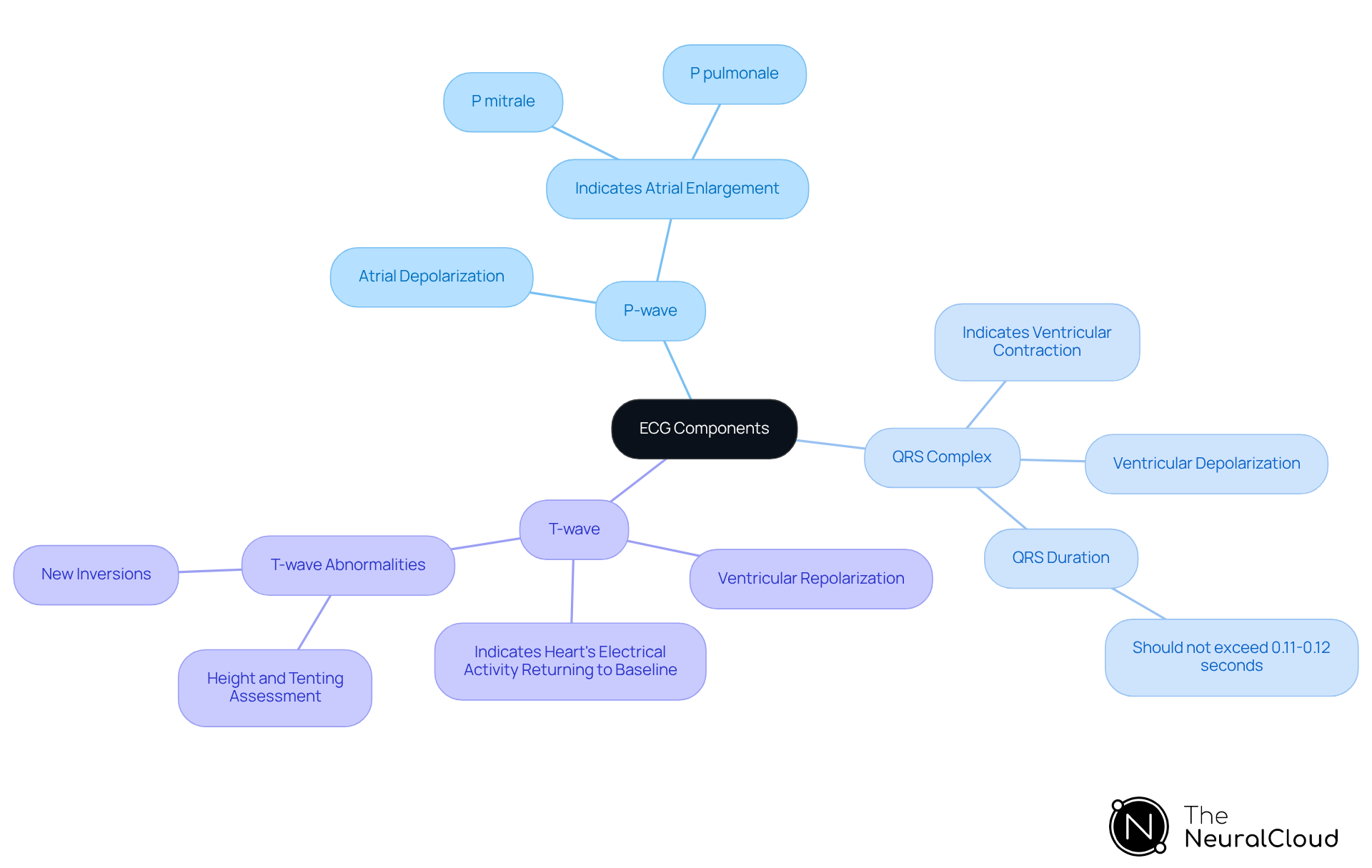 The central node represents the main topic of ECG components. Each branch details a specific component of the ECG rhythm, with further information on what each component indicates regarding the heart's electrical activity.