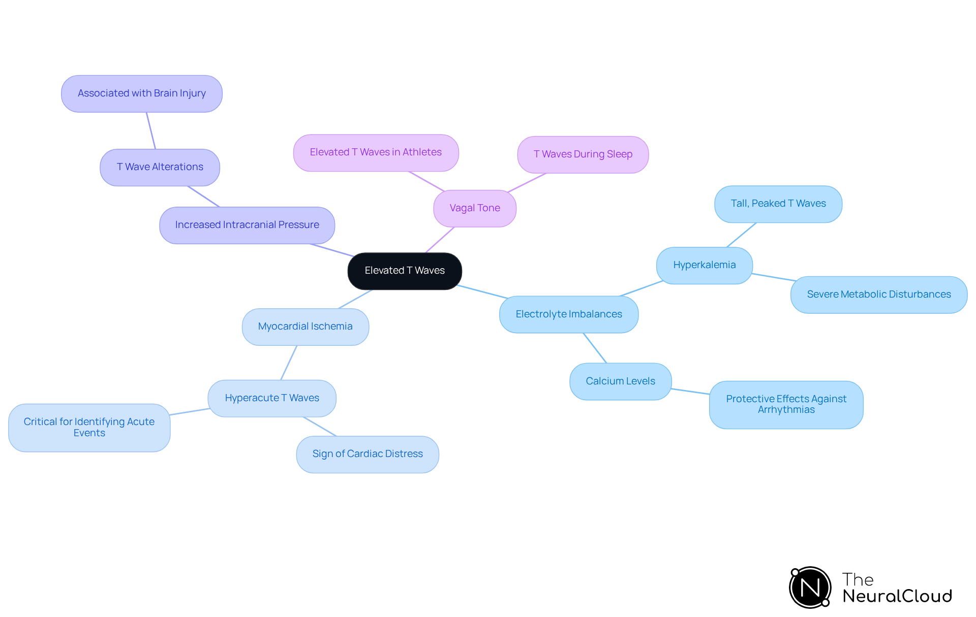 The central node represents the main topic, and each branch shows a key factor that can cause elevated T waves. Follow the branches to learn about each factor's role and significance.