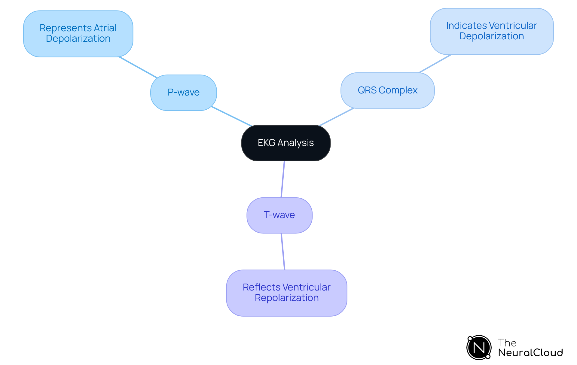 The central concept is EKG Analysis, with branches showing the main components of an EKG. Each component explains what it represents, helping you understand how they work together to provide insights into heart activity.