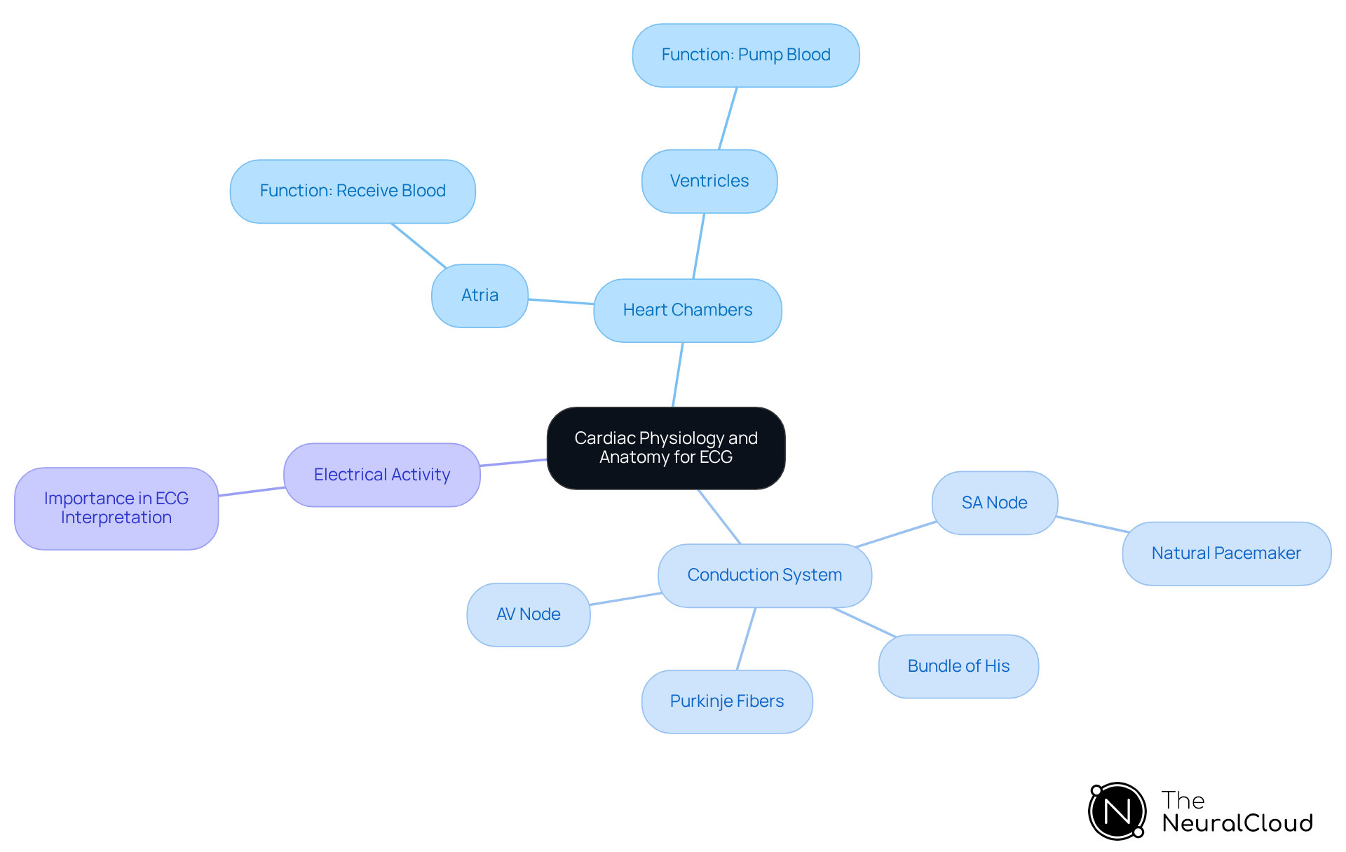 The central node represents the overall topic, while branches show the main components of the heart and their roles in ECG analysis. Each sub-branch provides more detail, helping you see how anatomy influences electrical activity and ECG patterns. The central node represents the overall topic, while branches show the main components of the heart and their roles in ECG analysis. Each sub-branch provides more detail, helping you see how anatomy influences electrical activity and ECG patterns.