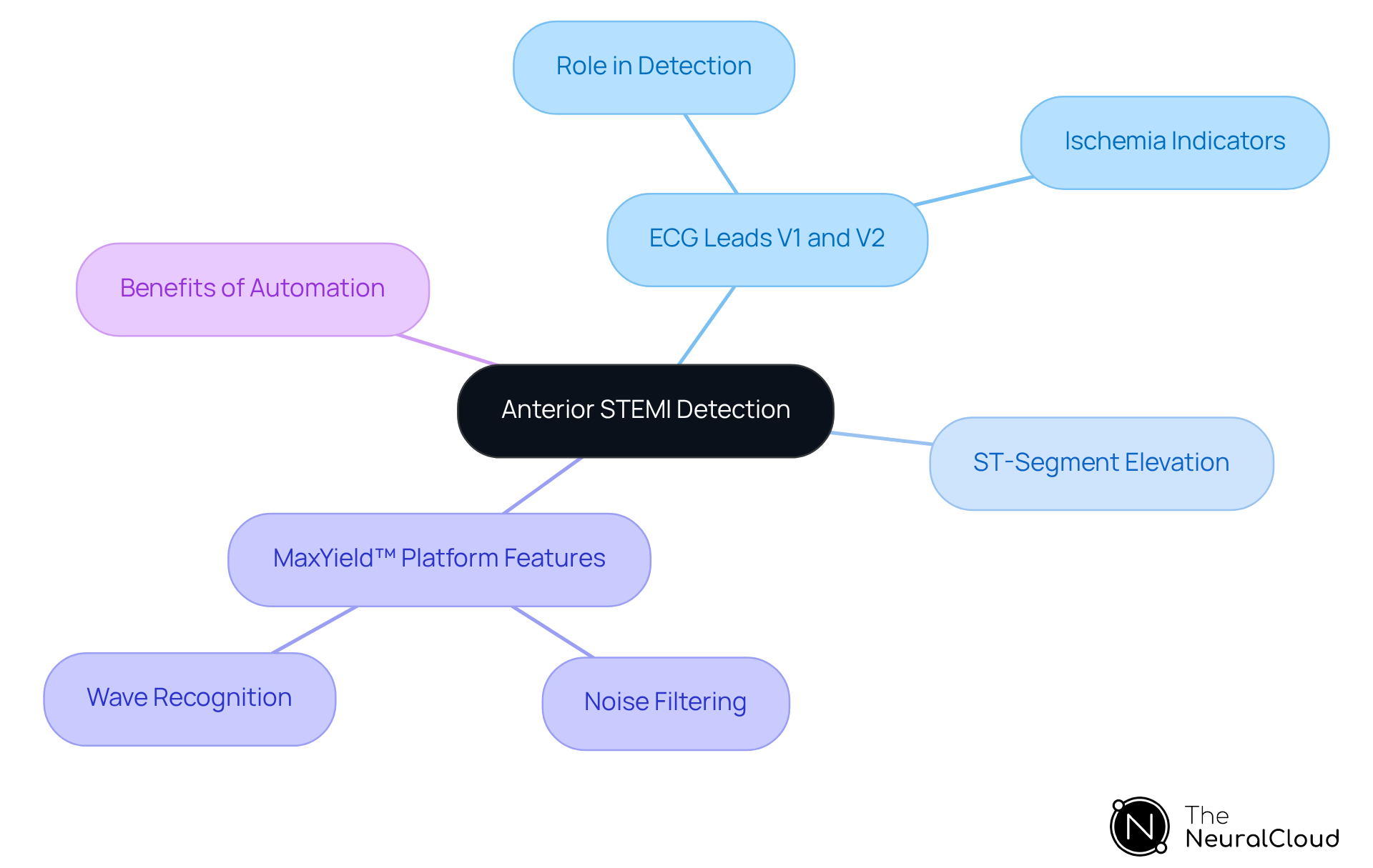 The central node represents the main topic, while branches show related concepts and features. Each color-coded branch helps you navigate through the information easily. The central node represents the main topic, while branches show related concepts and features. Each color-coded branch helps you navigate through the information easily.