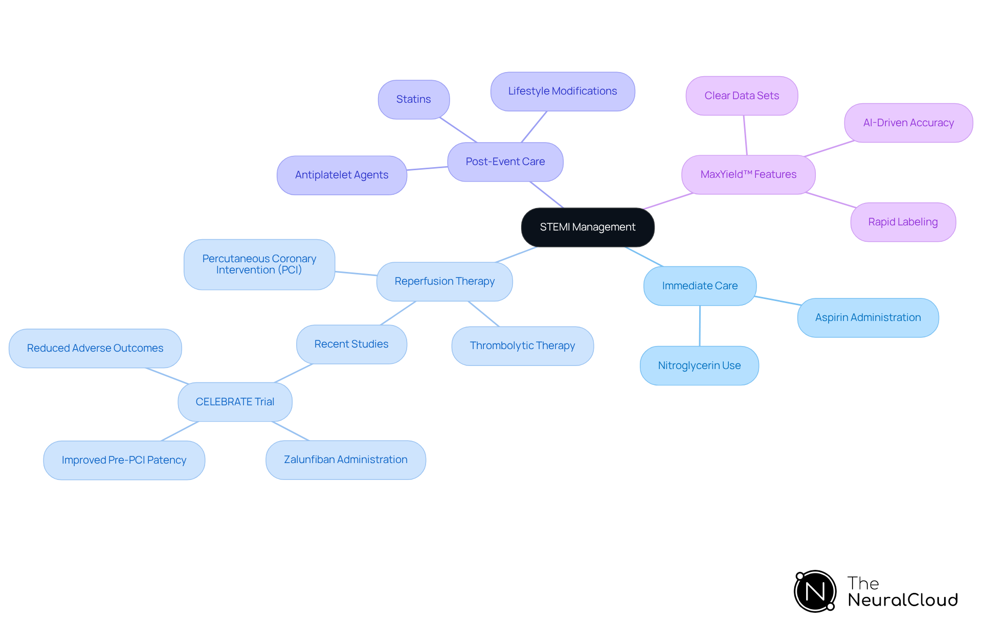 The central node represents the overall management of STEMI, while the branches show the key components and features of the technology that supports effective patient care. The central node represents the overall management of STEMI, while the branches show the key components and features of the technology that supports effective patient care.