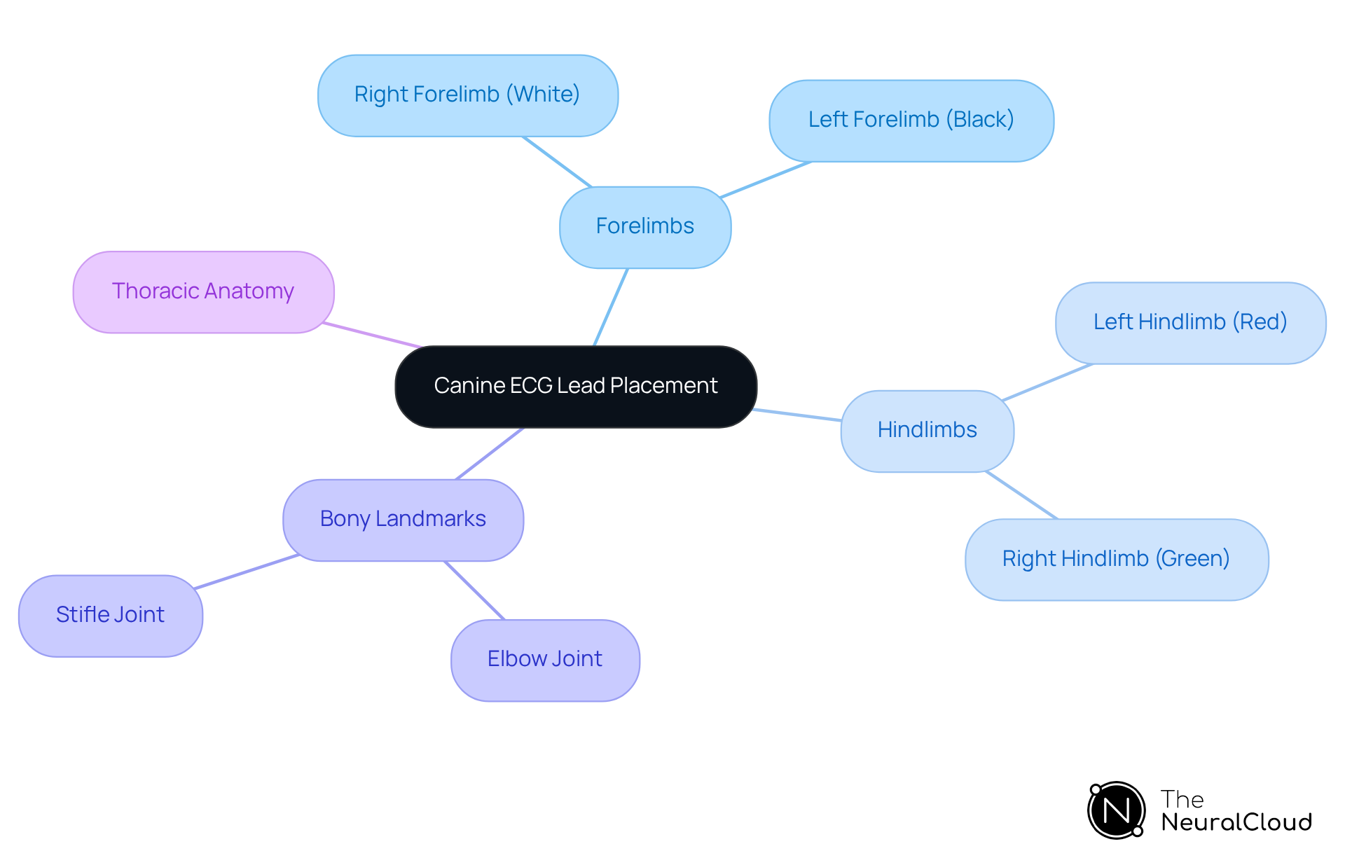 The central node represents the main topic of ECG lead placement. Each branch shows the specific limbs and their corresponding lead colors, while additional branches highlight important anatomical landmarks that aid in proper lead positioning. The central node represents the main topic of ECG lead placement. Each branch shows the specific limbs and their corresponding lead colors, while additional branches highlight important anatomical landmarks that aid in proper lead positioning.