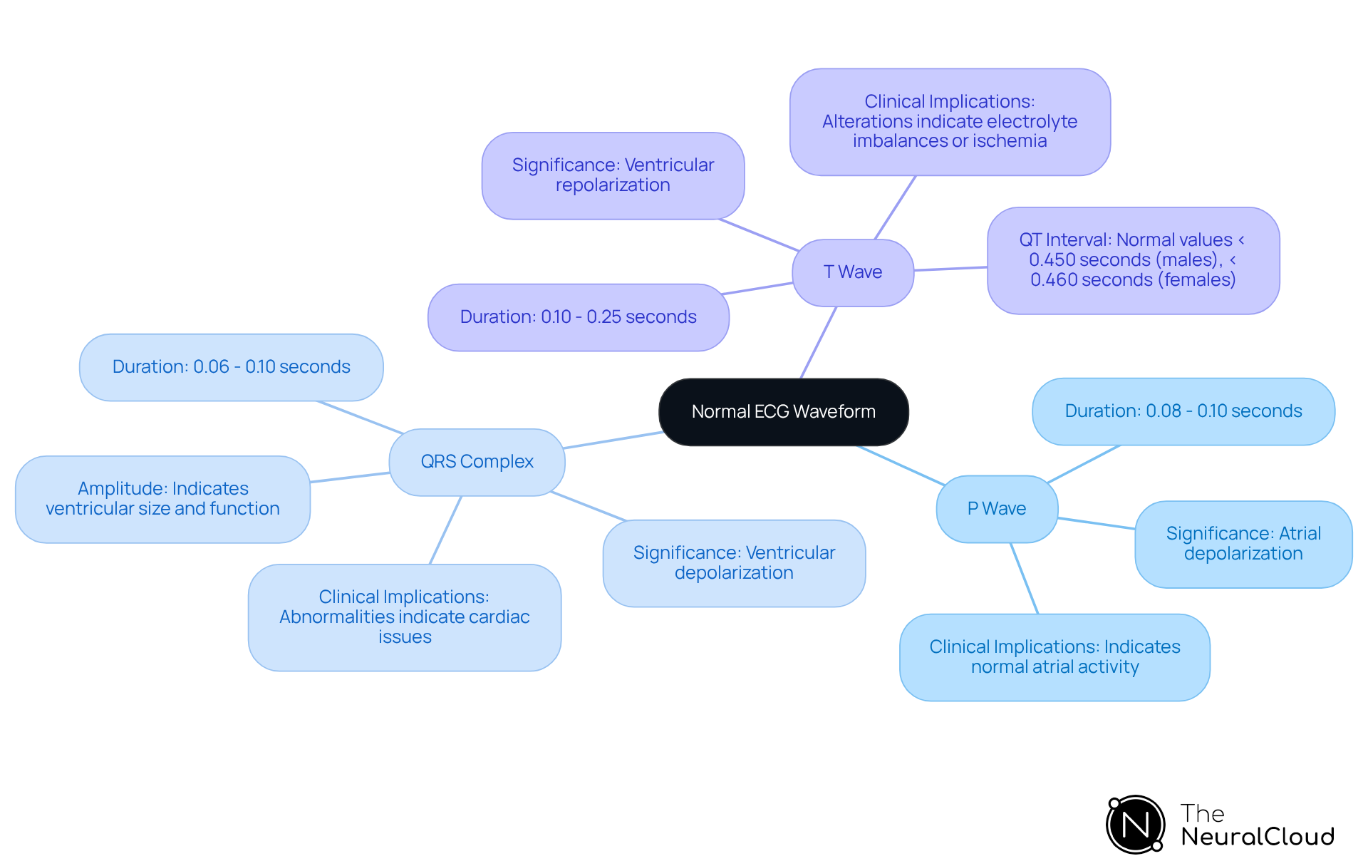 The central node represents the overall ECG waveform, while each branch details a specific component. The P Wave indicates atrial activity, the QRS Complex shows ventricular depolarization, and the T Wave reflects ventricular repolarization. Each color-coded branch helps differentiate the components and their importance in heart health.