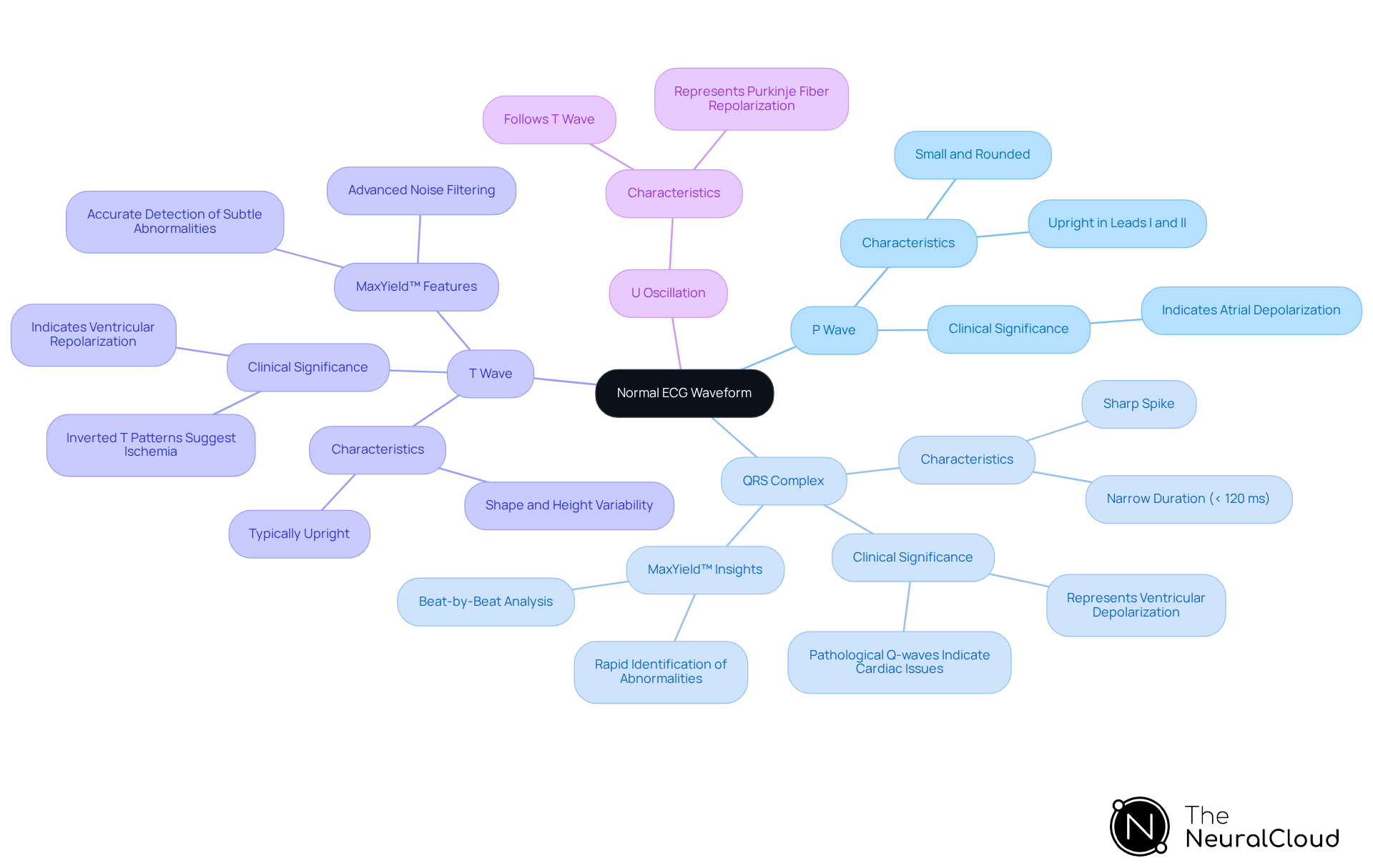 The central node represents the ECG waveform, while each branch shows a key component. Follow the branches to learn about each part's characteristics and its importance in cardiac health.