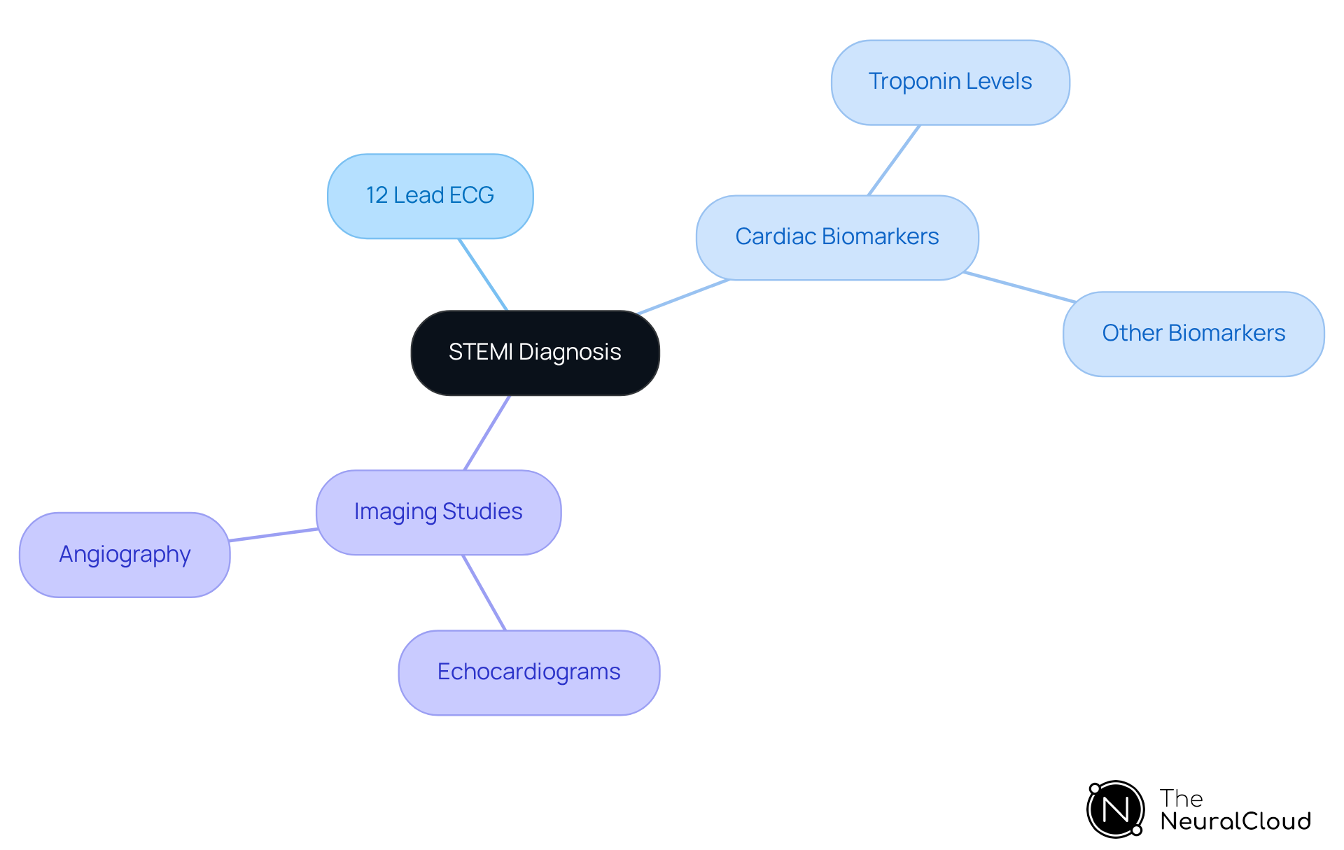The central node represents the overall goal of diagnosing STEMI, while the branches show the key diagnostic tools and their roles in confirming the condition. Each color-coded branch helps you quickly identify the different methods used. The central node represents the overall goal of diagnosing STEMI, while the branches show the key diagnostic tools and their roles in confirming the condition. Each color-coded branch helps you quickly identify the different methods used.