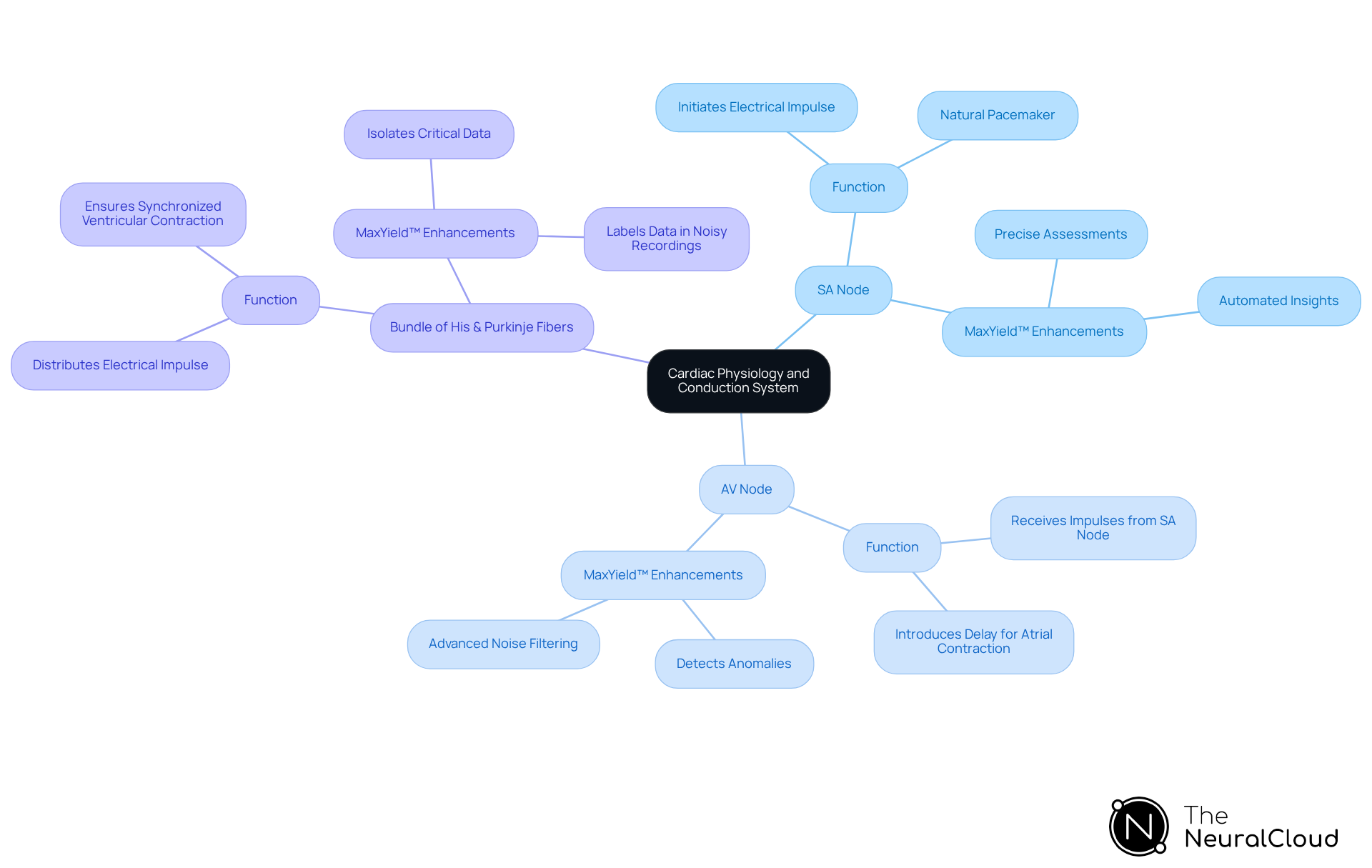 The central node represents the overall topic, while the branches show the key components of the cardiac conduction system. Each sub-branch explains the function of these components and how MaxYield™ aids in their analysis.