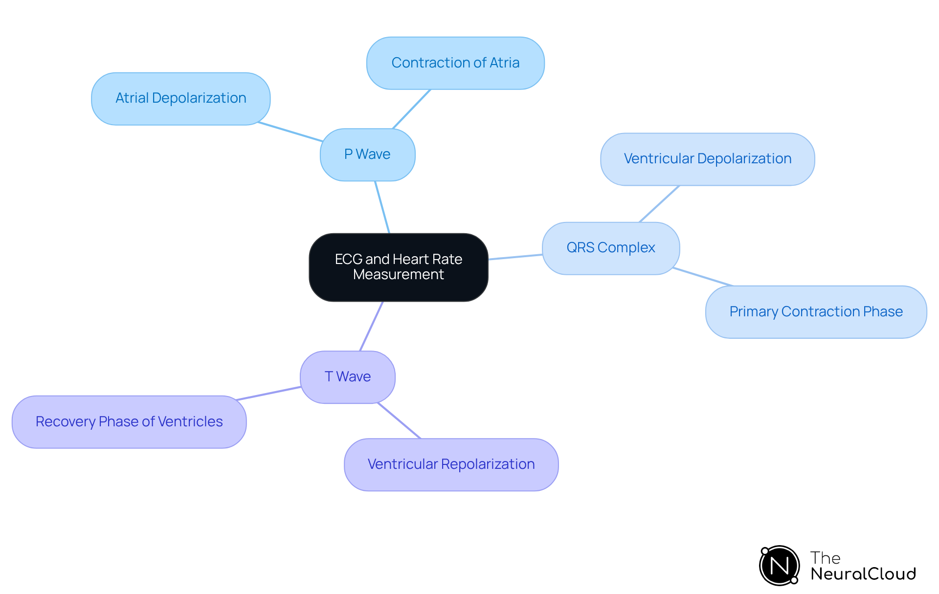 This mindmap starts with the central idea of ECG and heart rate measurement. Each branch represents a key component of the ECG, and the sub-branches explain their roles in heart function. Follow the branches to see how each part contributes to understanding heart health. This mindmap starts with the central idea of ECG and heart rate measurement. Each branch represents a key component of the ECG, and the sub-branches explain their roles in heart function. Follow the branches to see how each part contributes to understanding heart health.