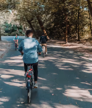 Park Bike