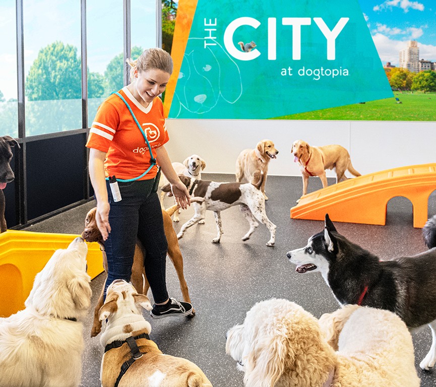 Taqueria pick up window