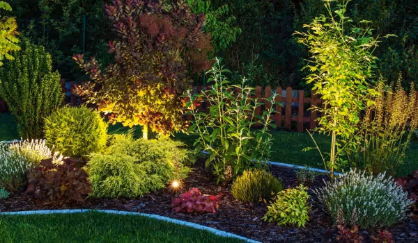 Amplify Your Outdoor Space with Stunning Lighting for Summer