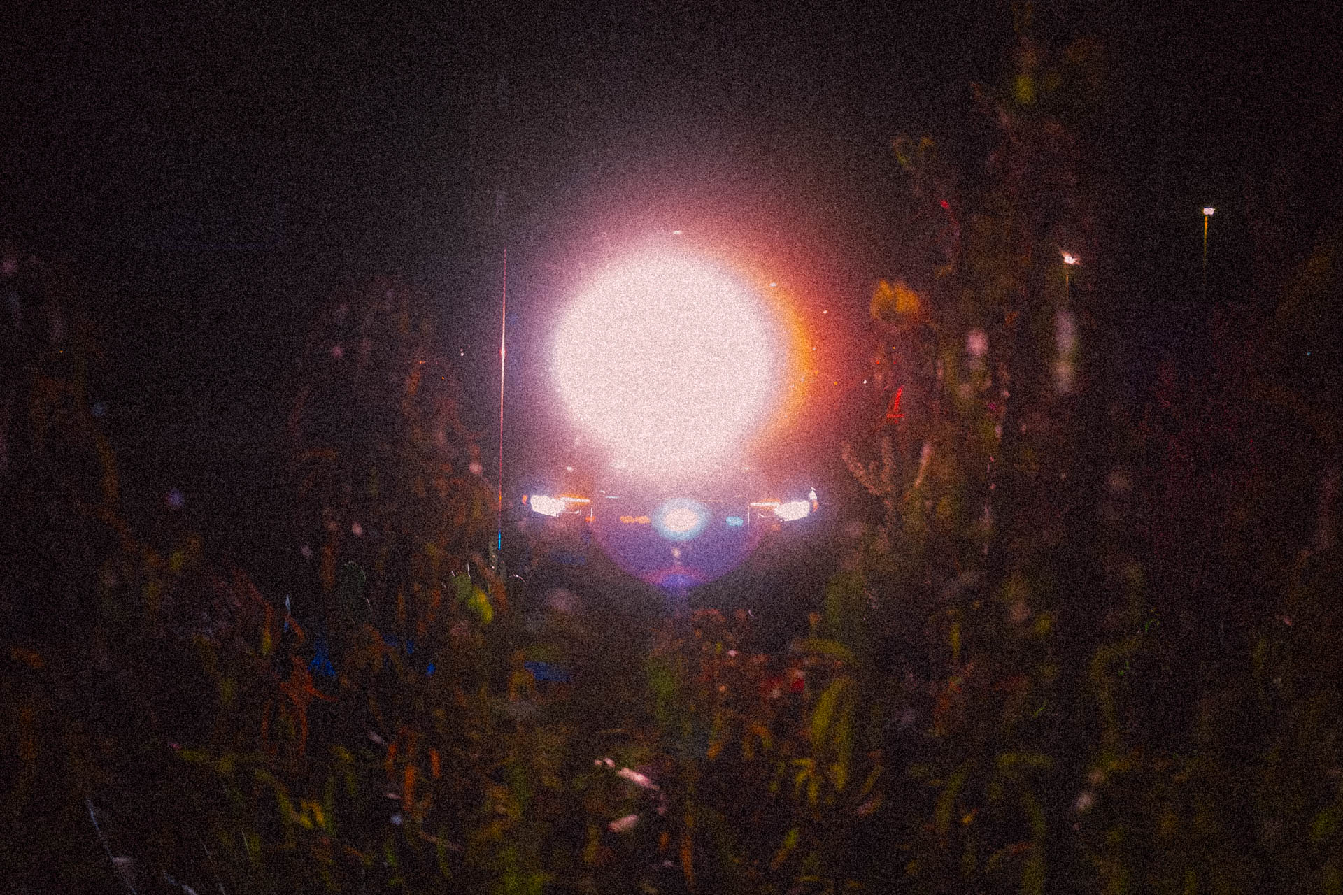 red and blue lights on a car through plants and trees at night