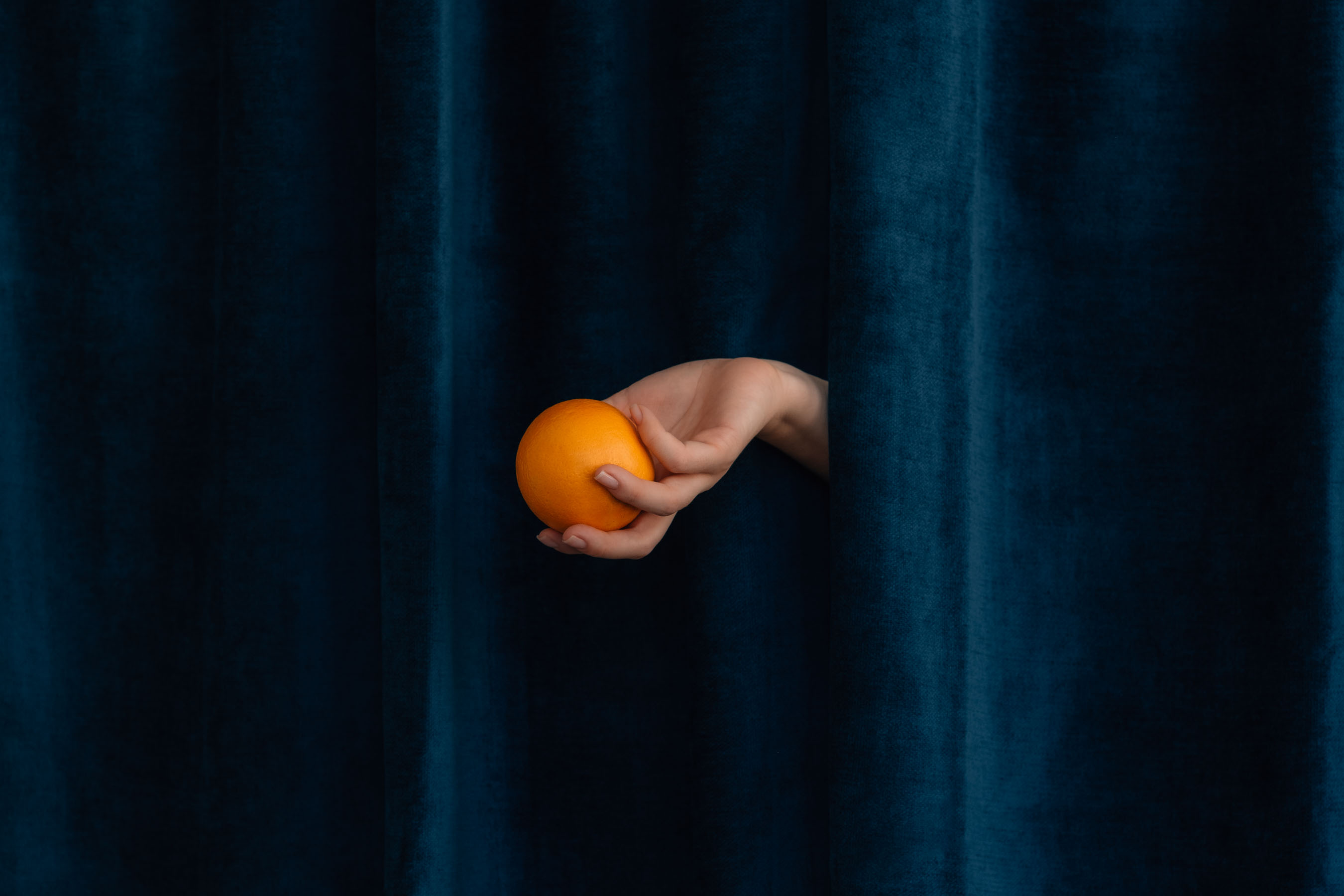 The hand of Saint Citrus holding an orange in front of blue velvet. Close up.