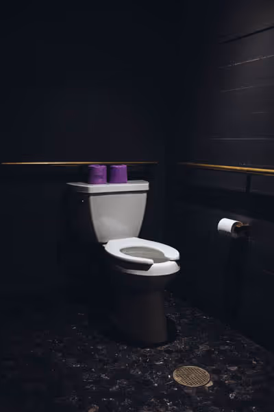 a toilet with purple toilet paper wrapped on top of it