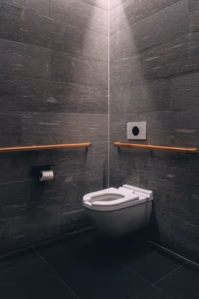 the holy grail toilet with a sunbeam coming in from the ceiling