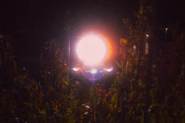 red and blue lights on a car through plants and trees at night