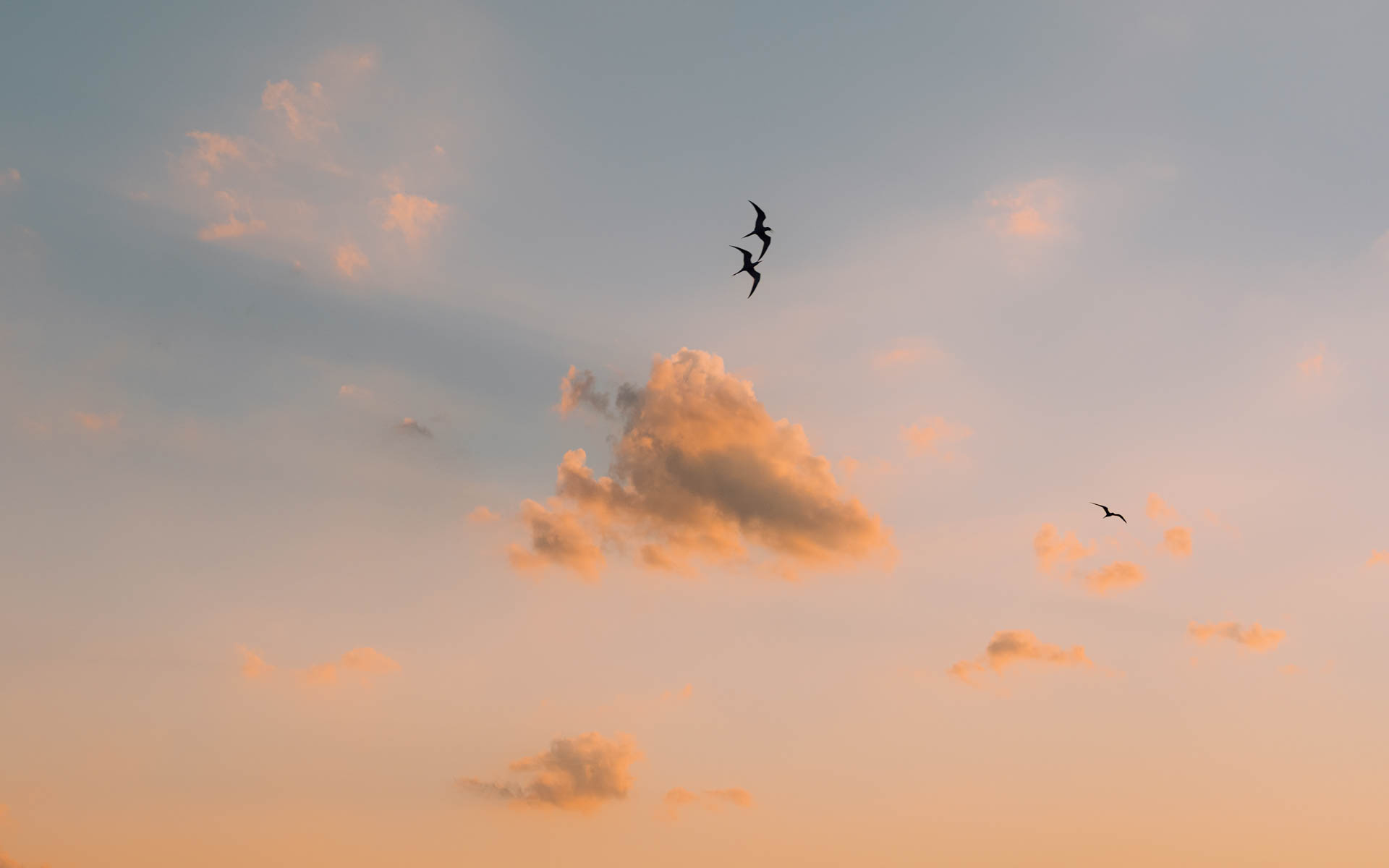 Birds and puffy cloud sunset over the bay in Long Beach Island, New Jersey