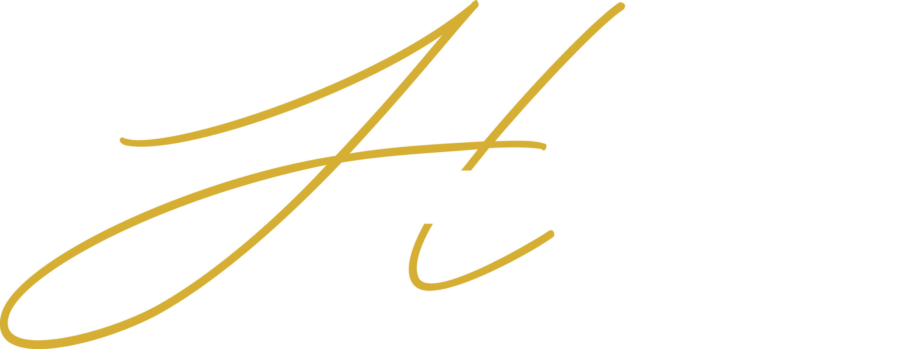 The Hoover Team